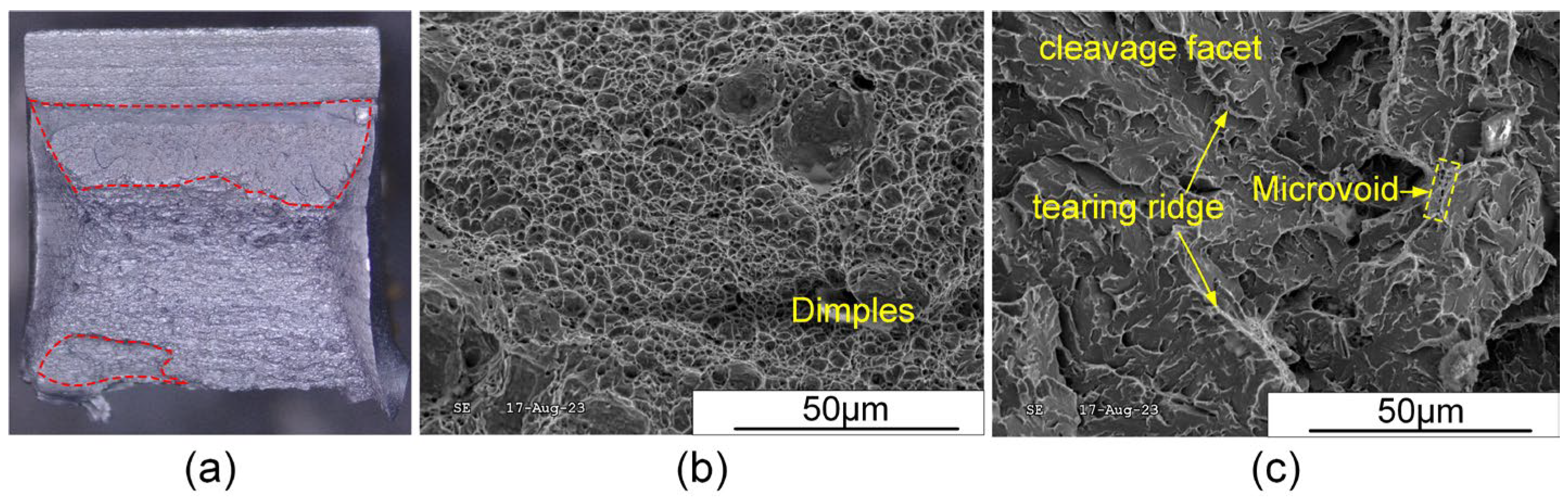 Materials 17 03178 g020