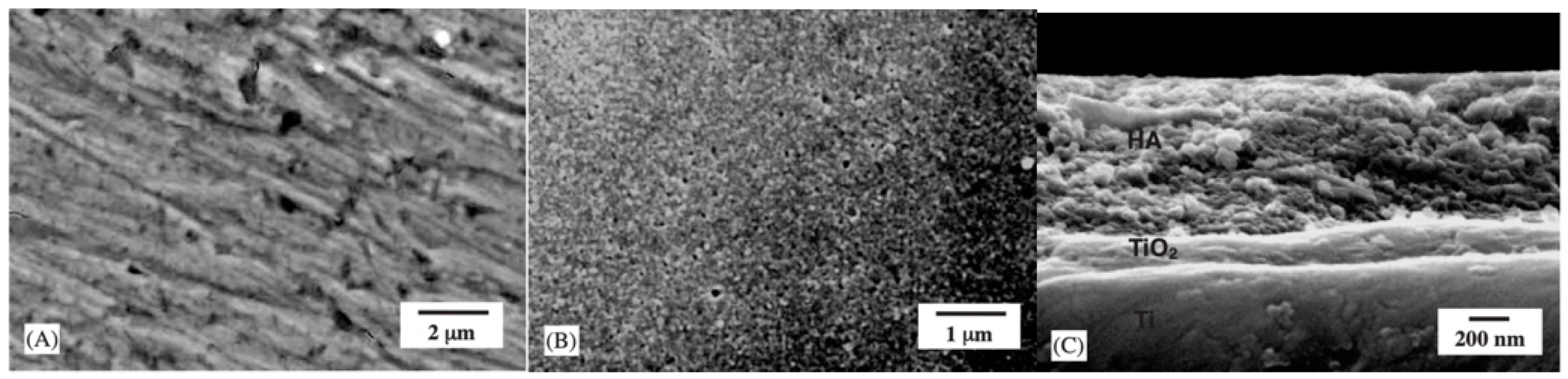 Materials 17 03191 g004