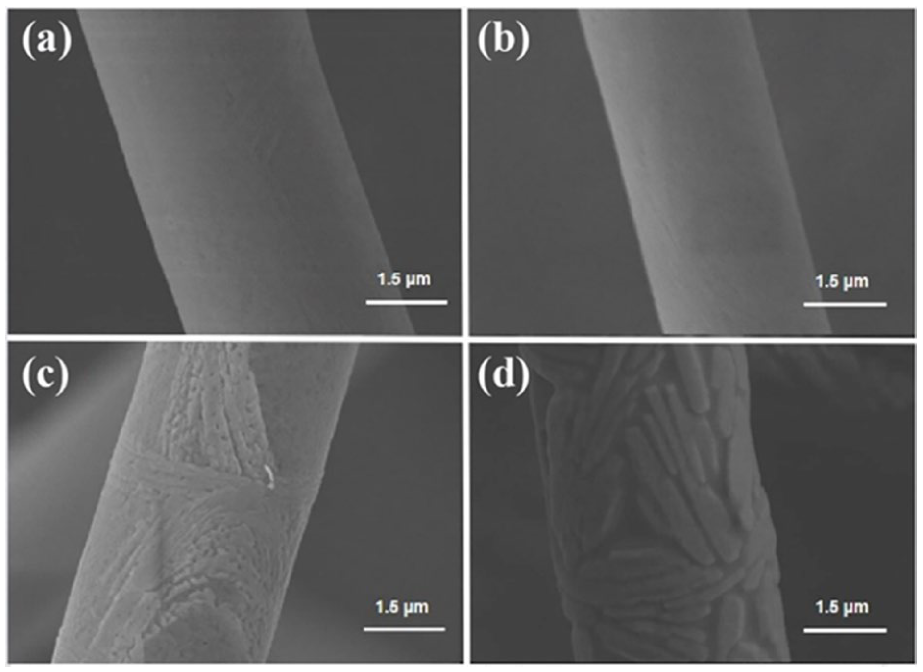 Materials 17 03235 g009 Materials 17 03235 g009