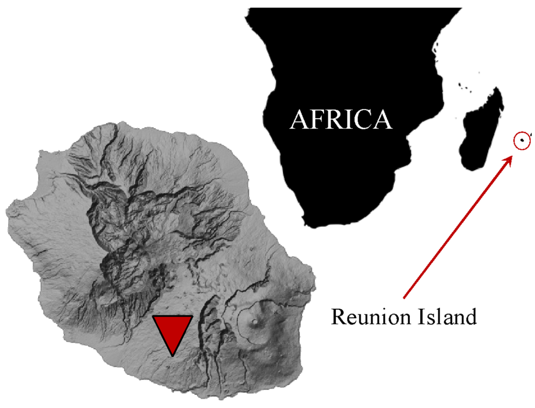 Materials 17 03241 g001