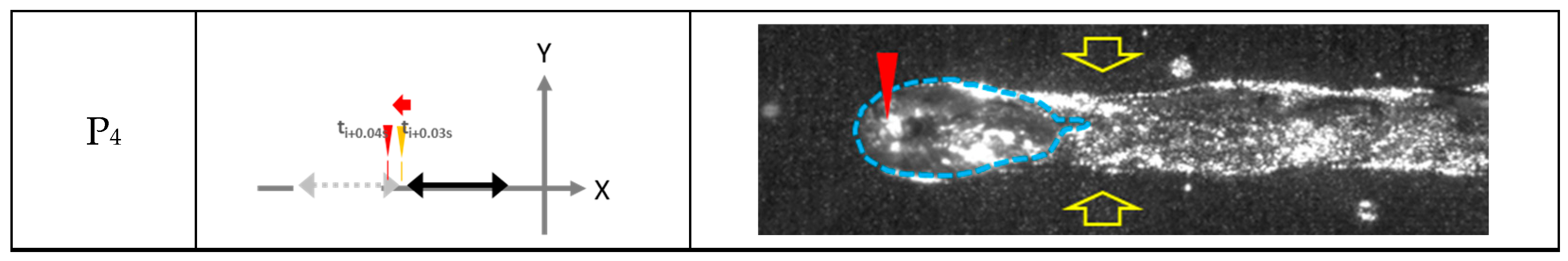 Materials 17 03248 g004b