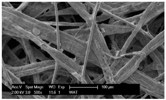Materials 17 03249 i013 Materials 17 03249 i013