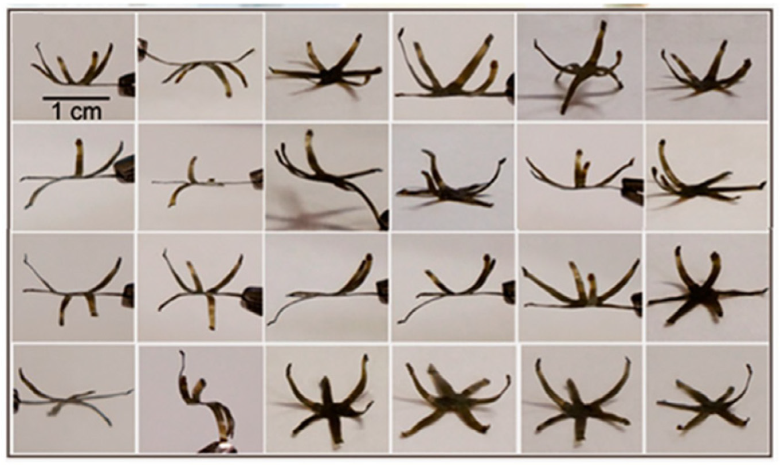 Materials 17 03265 g009