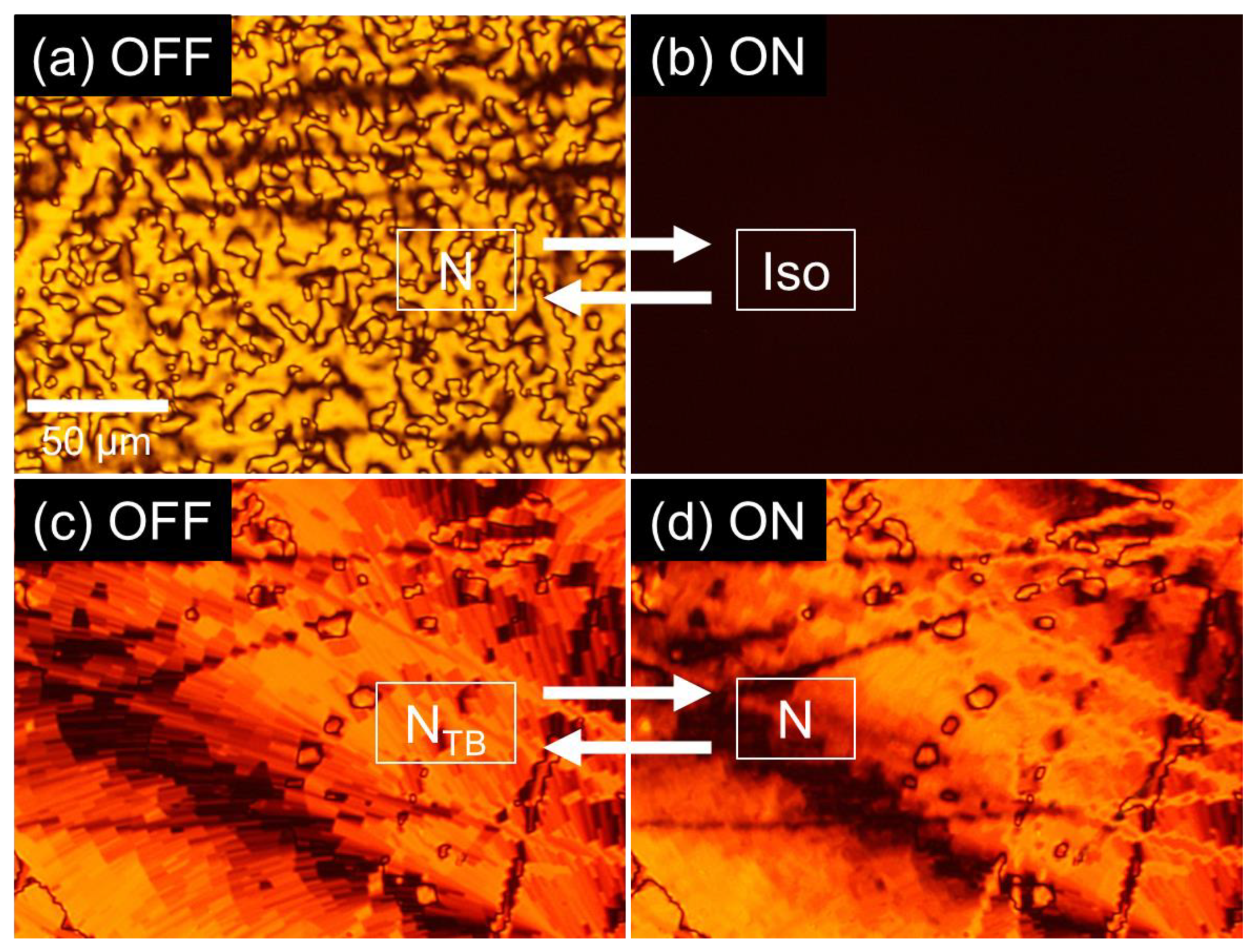 Materials 17 03278 g010