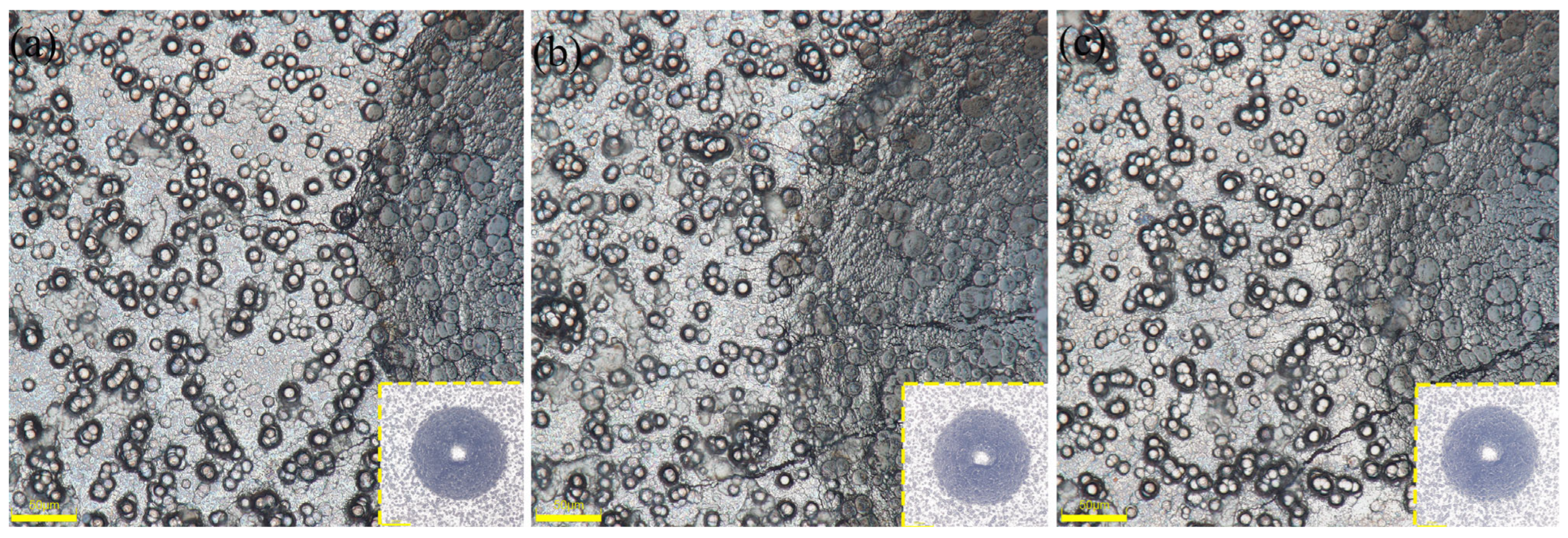 Materials 17 03294 g010