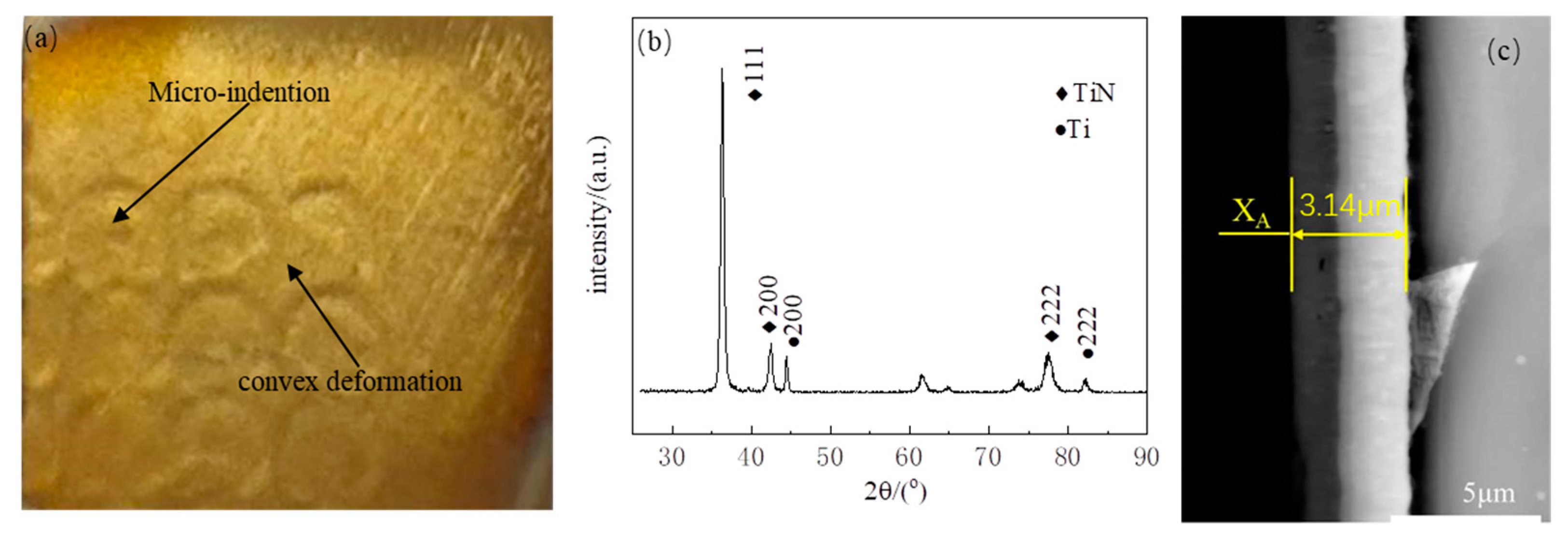 Materials 17 03302 g005
