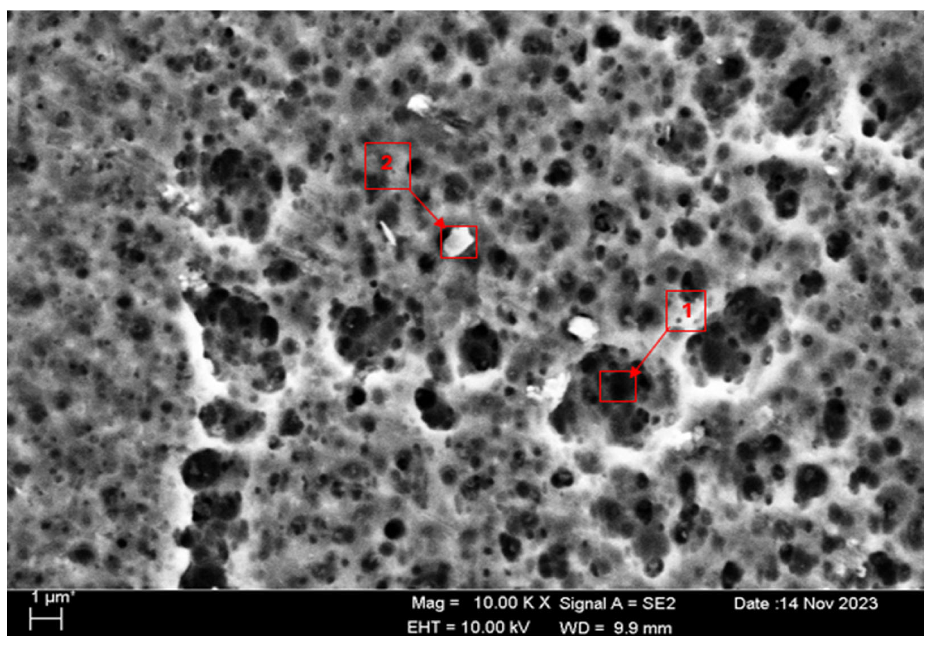 Materials 17 03313 g004