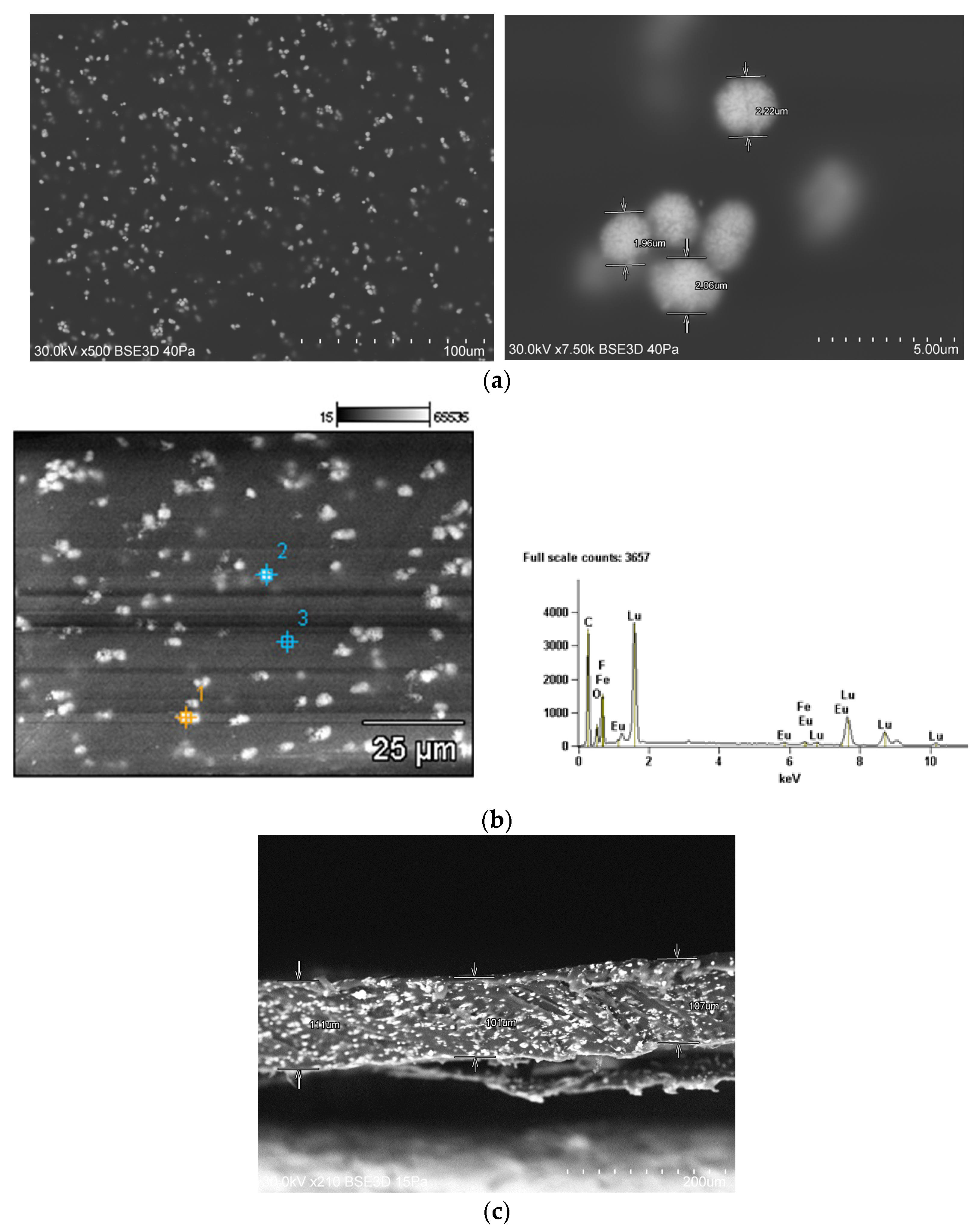 Materials 17 03320 g006