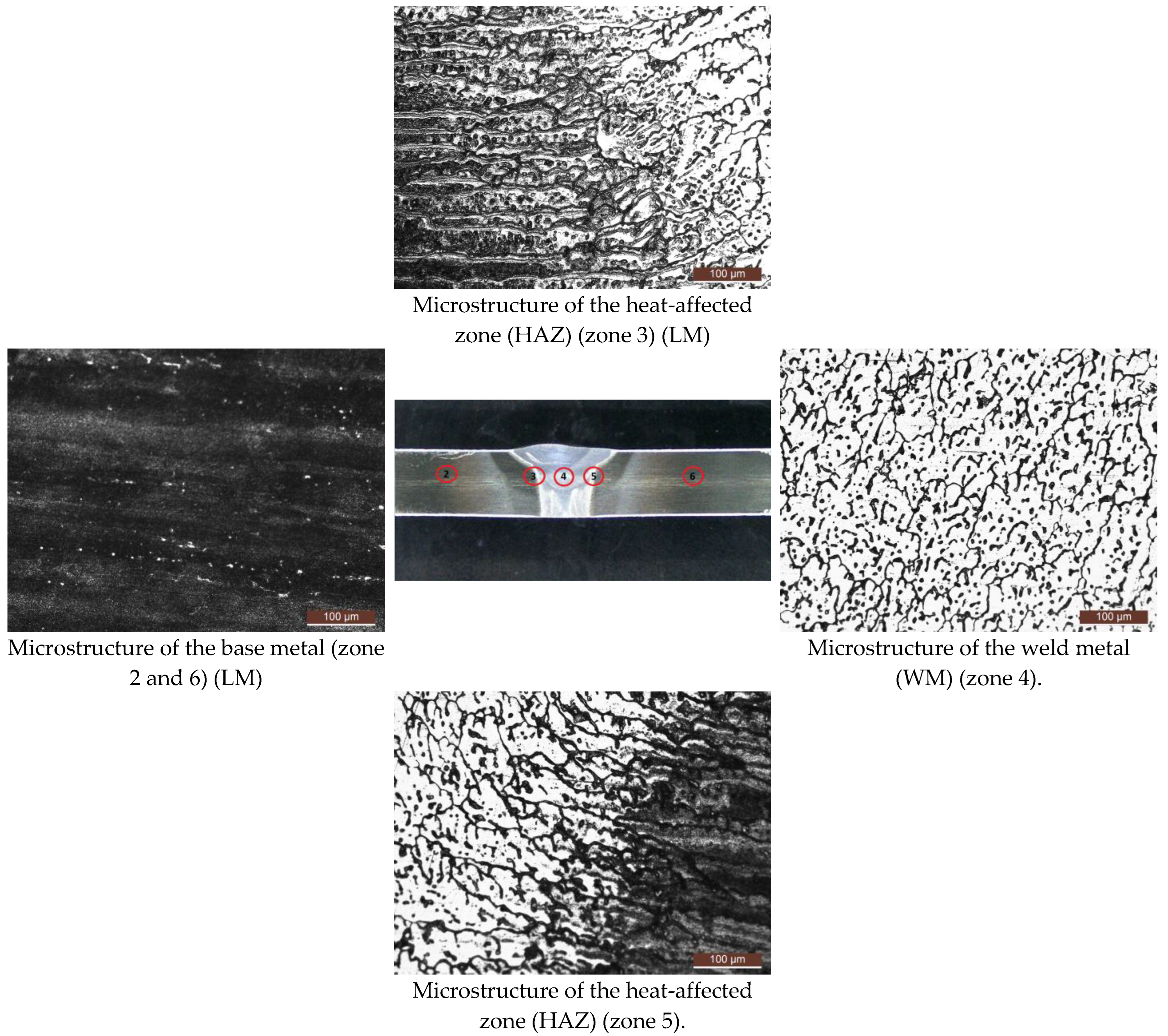 Materials 17 03336 g008