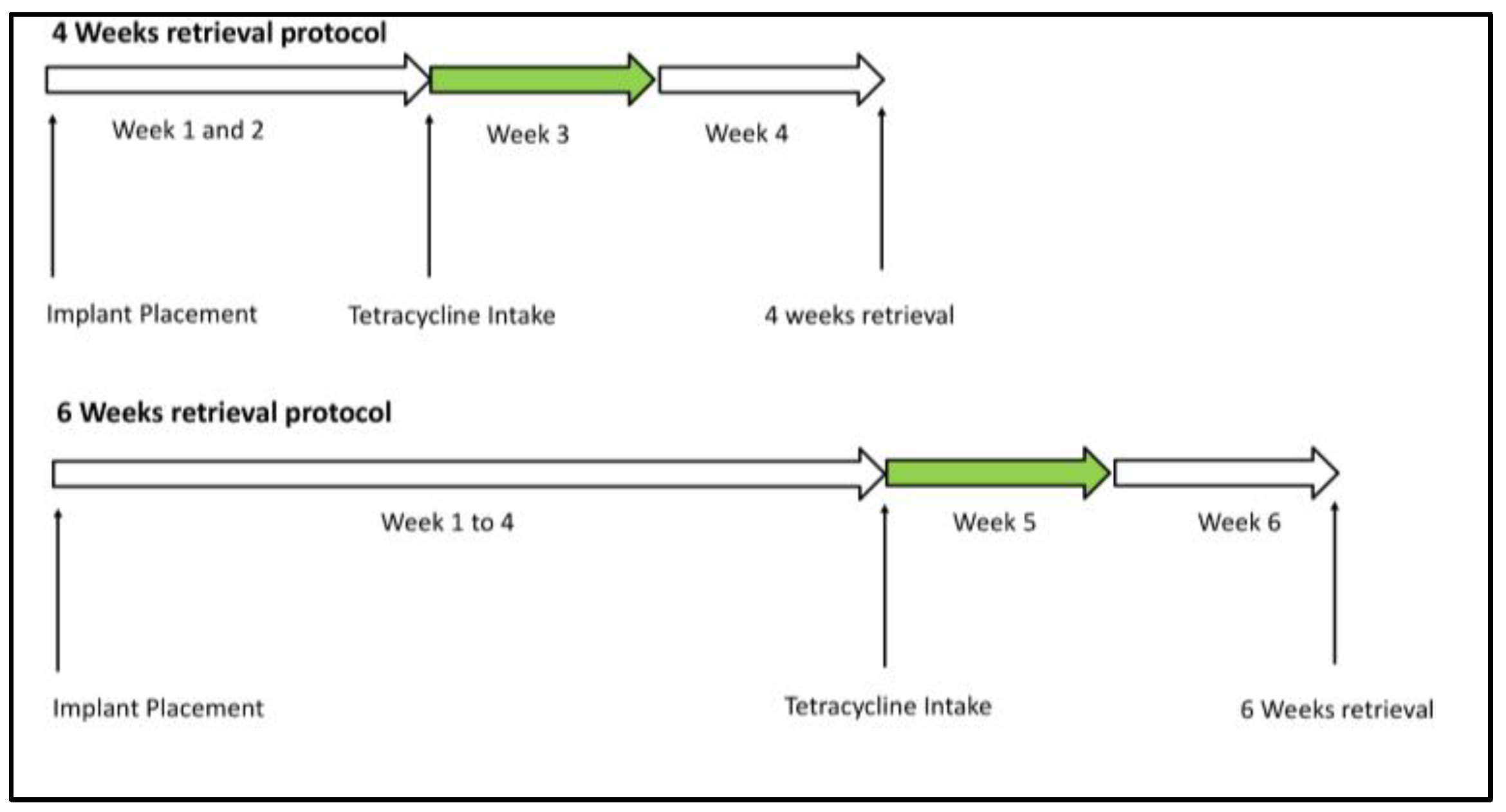 Materials 17 03341 g001