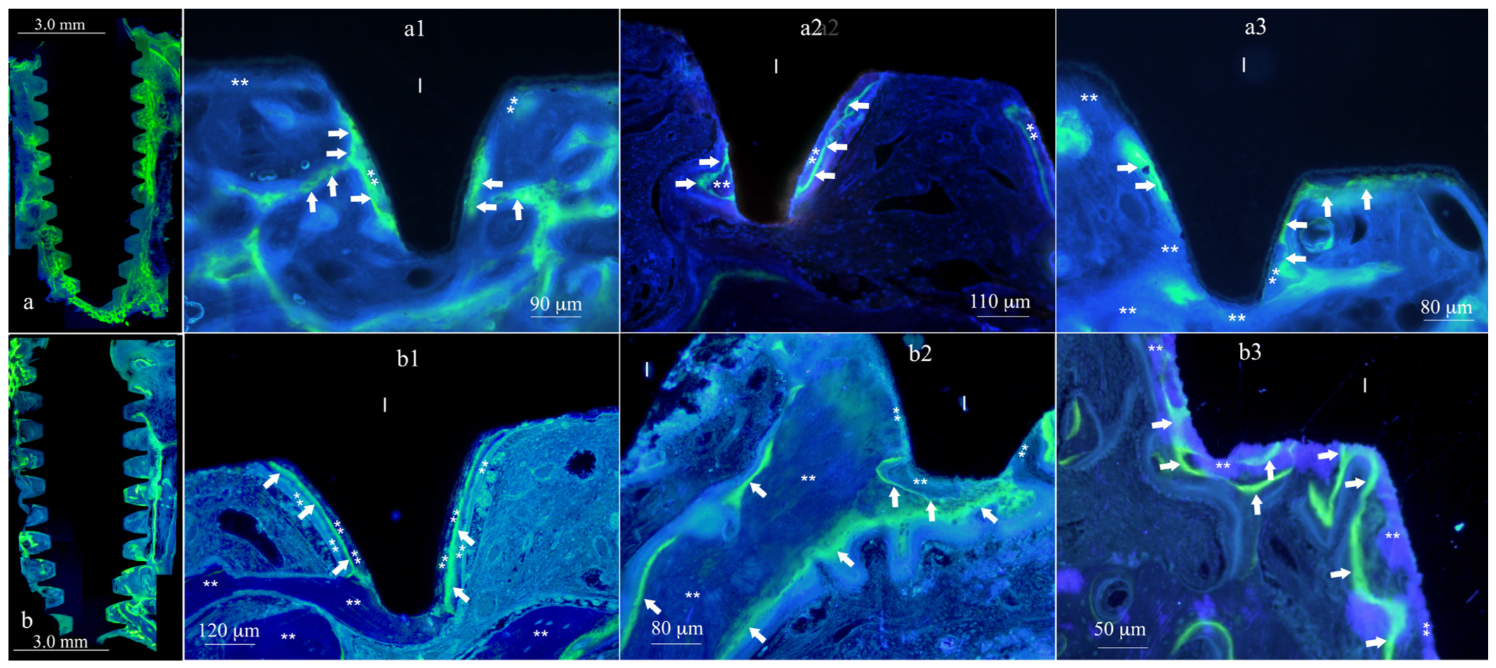 Materials 17 03341 g003
