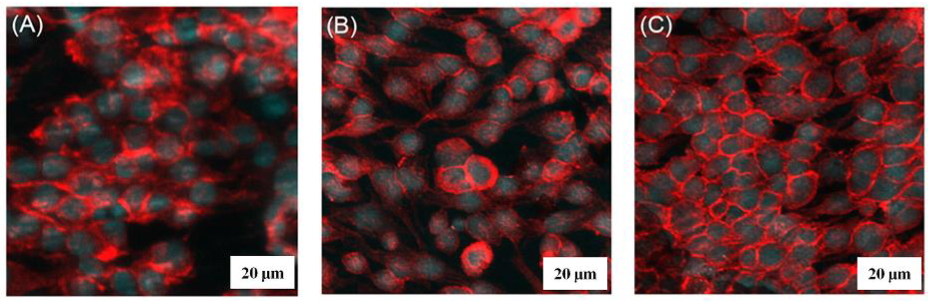 Materials 17 03347 g006