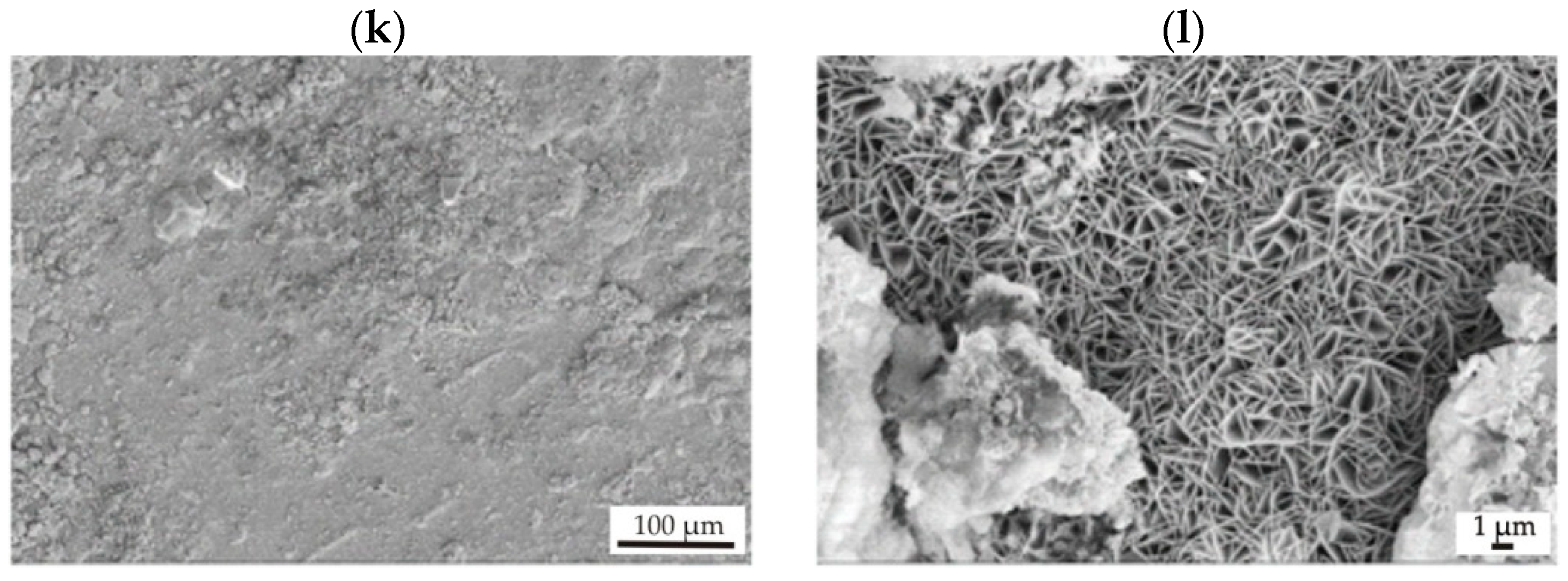 Materials 17 03348 g010b