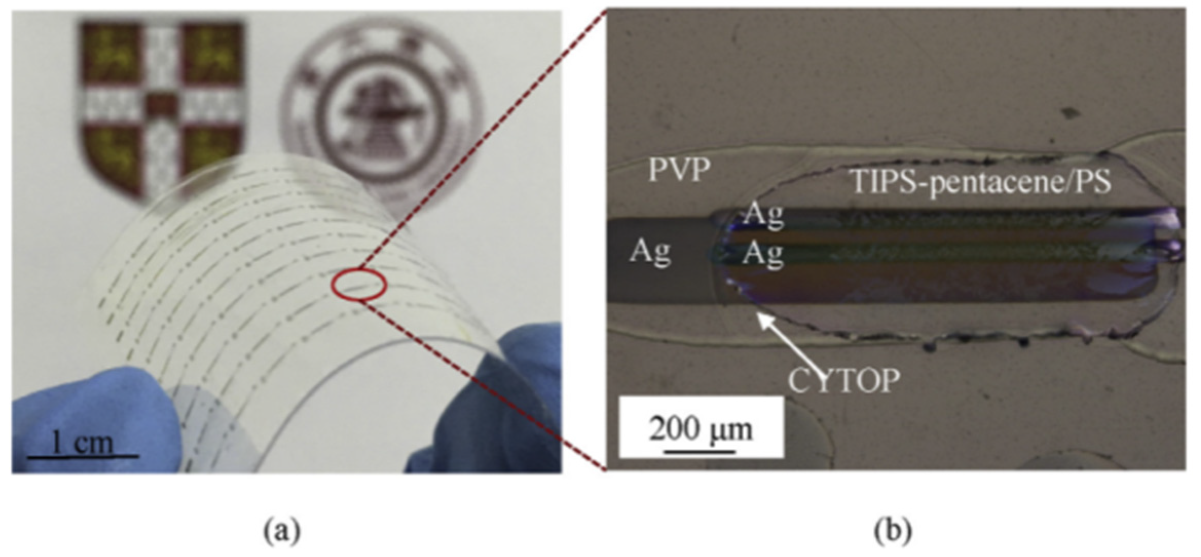 Materials 17 03362 g009