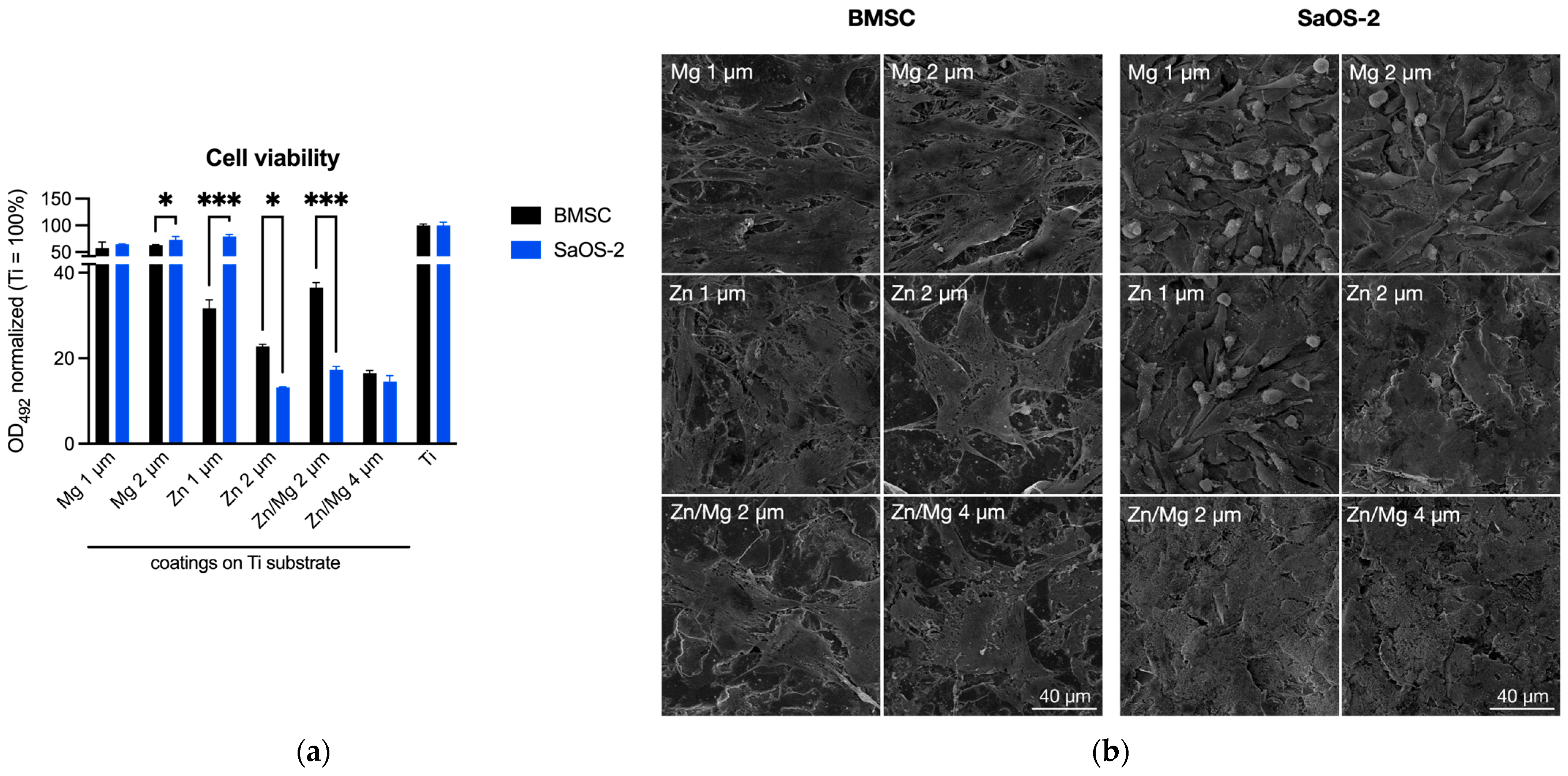Materials 17 03365 g009