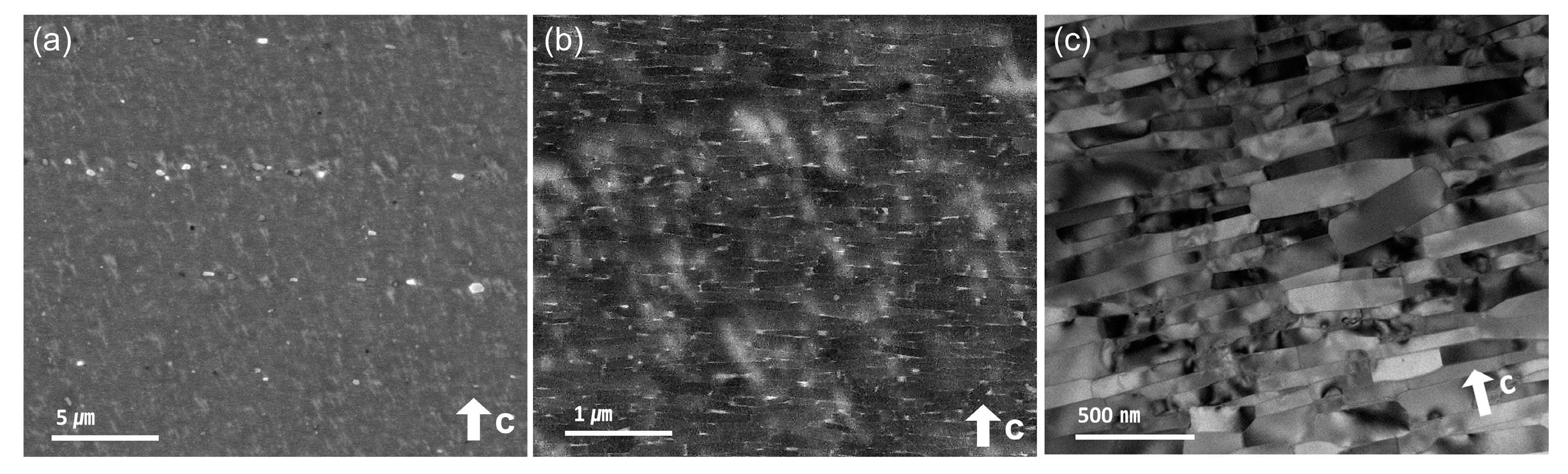 Materials 17 03371 g006