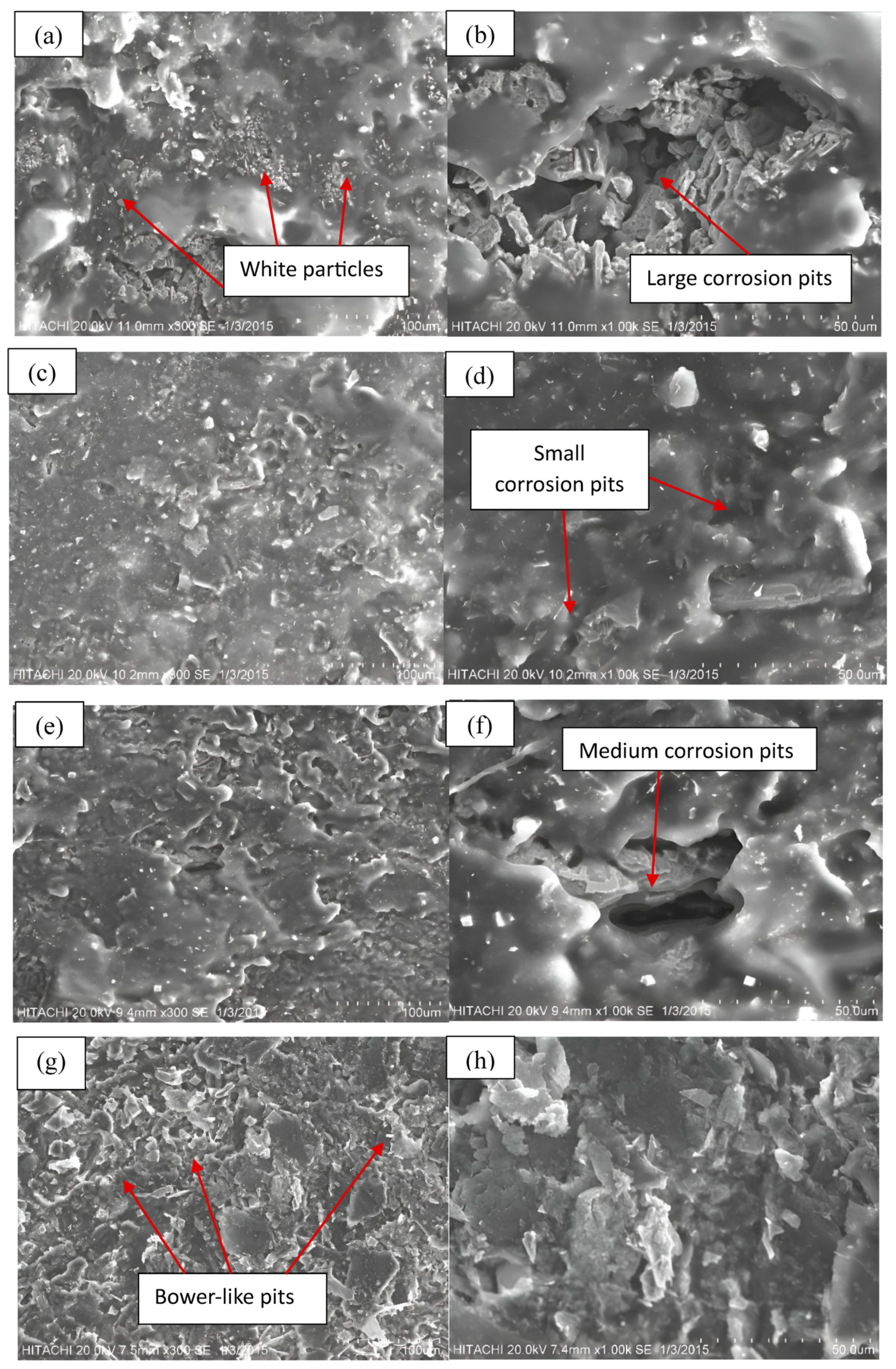 Materials 17 03372 g004