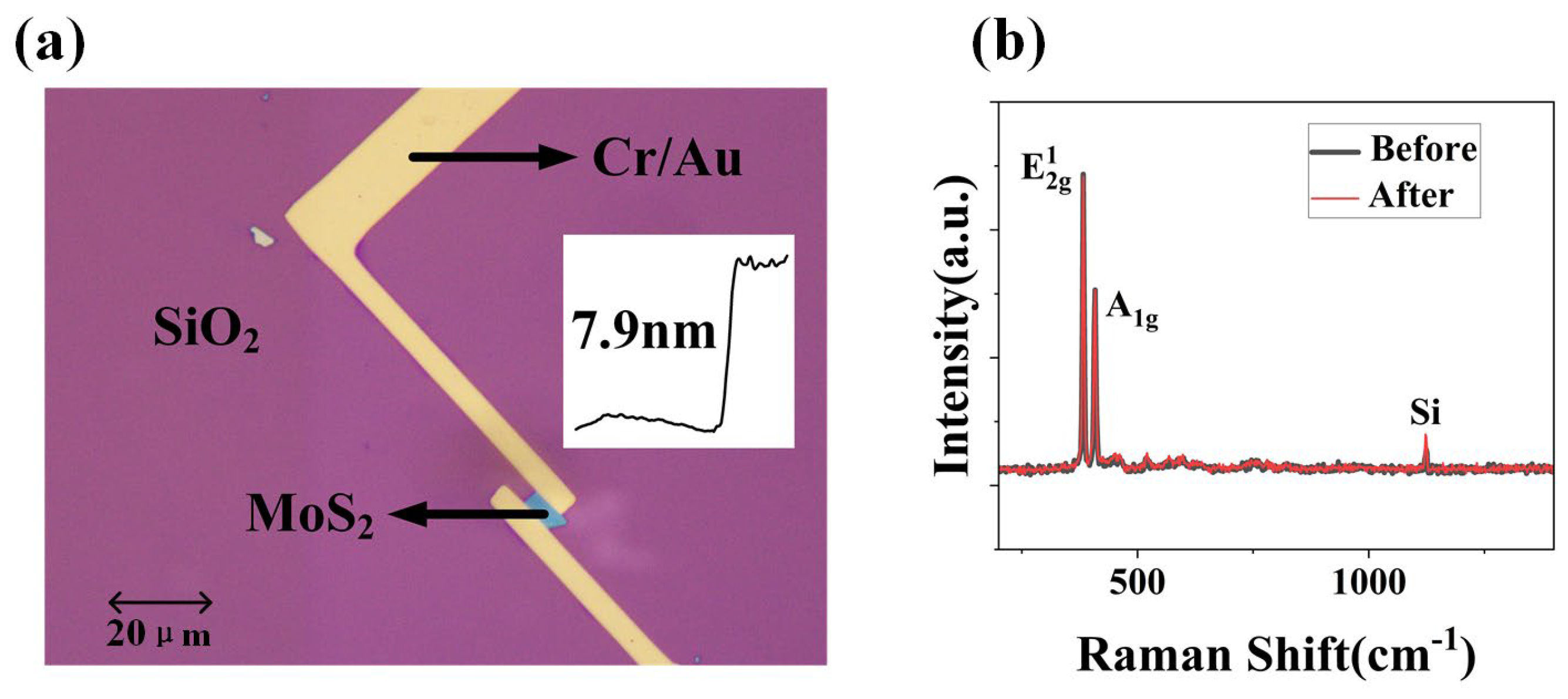 Materials 17 03373 g006