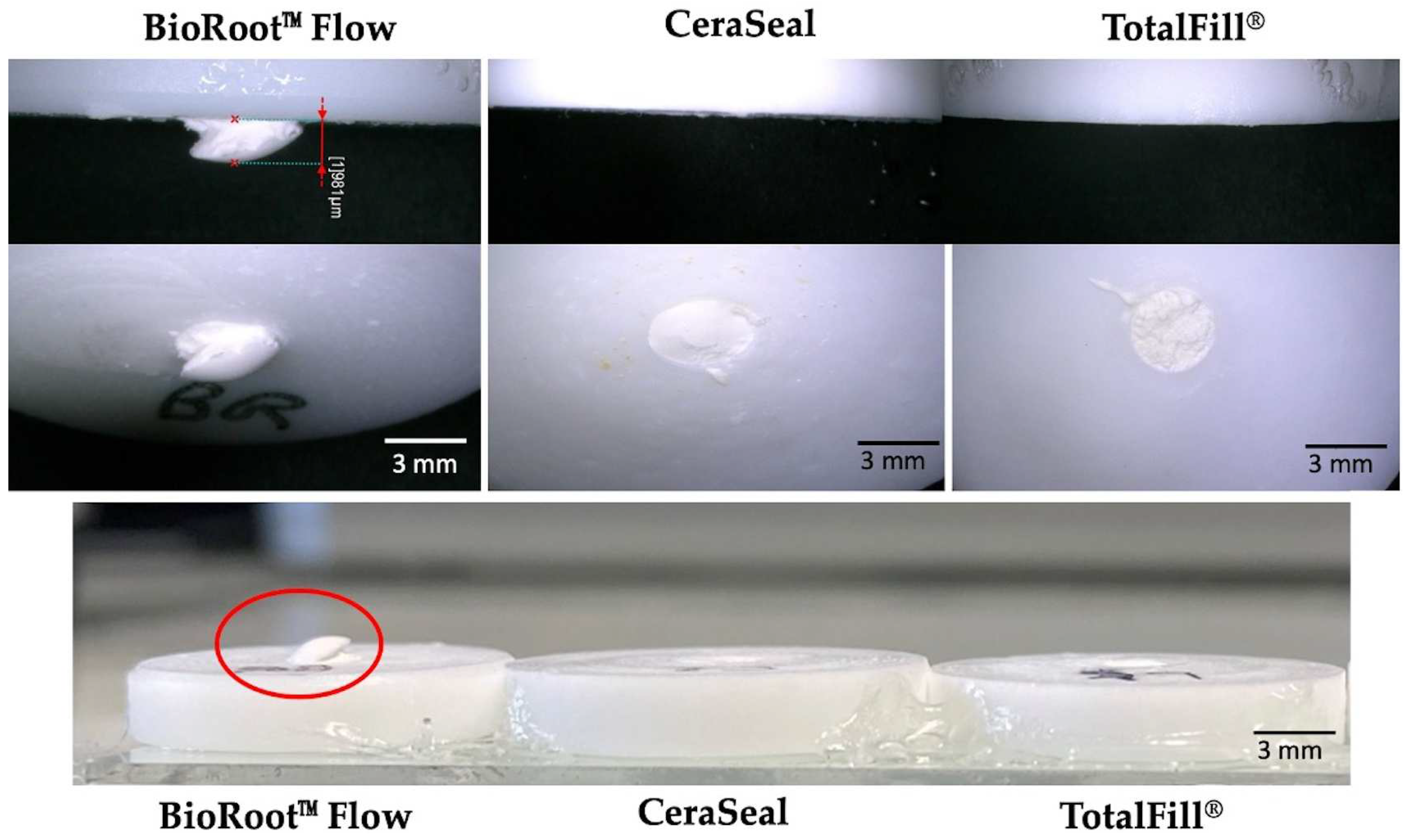 Materials 17 03374 g007