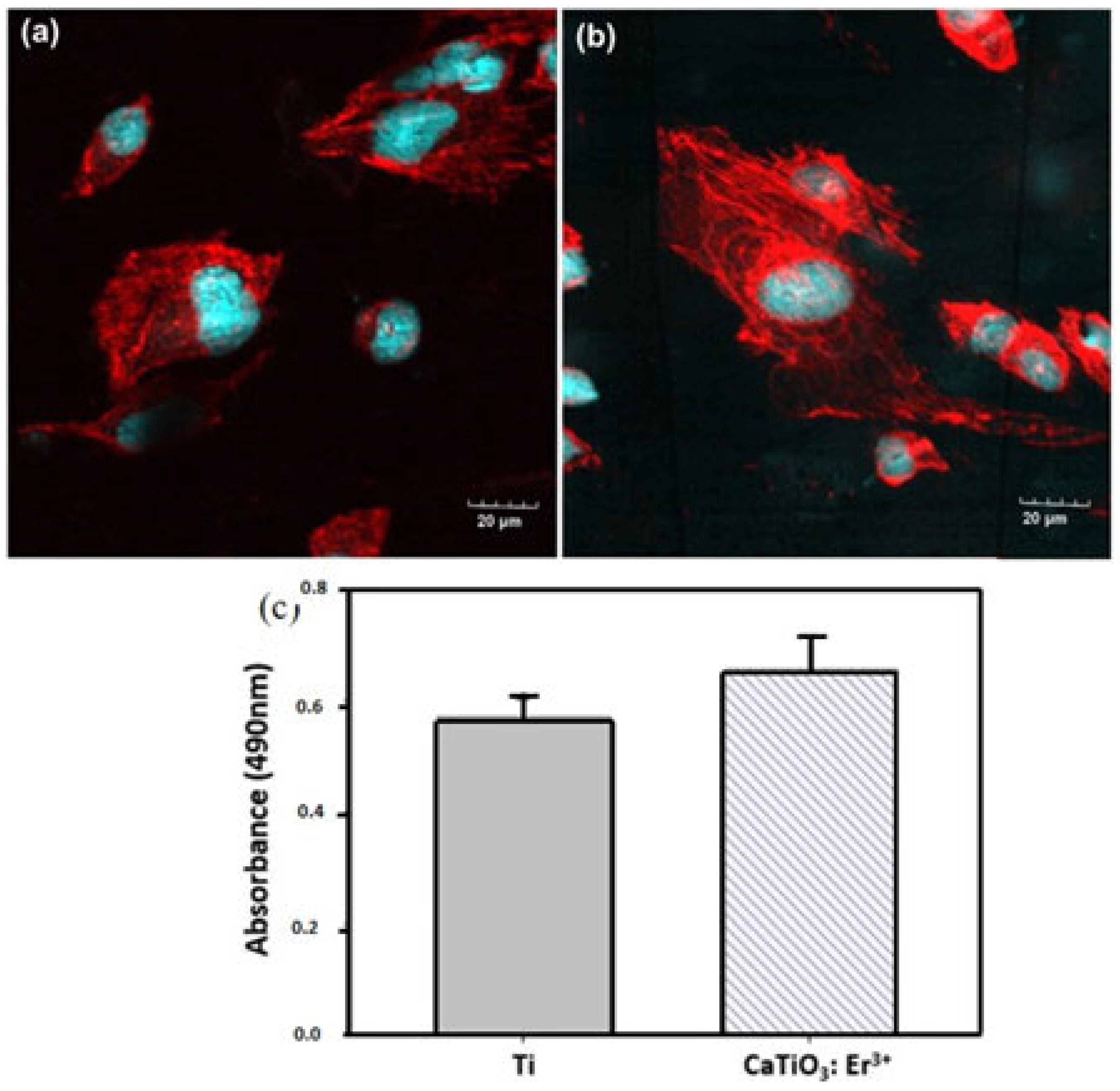 Materials 17 03376 g009