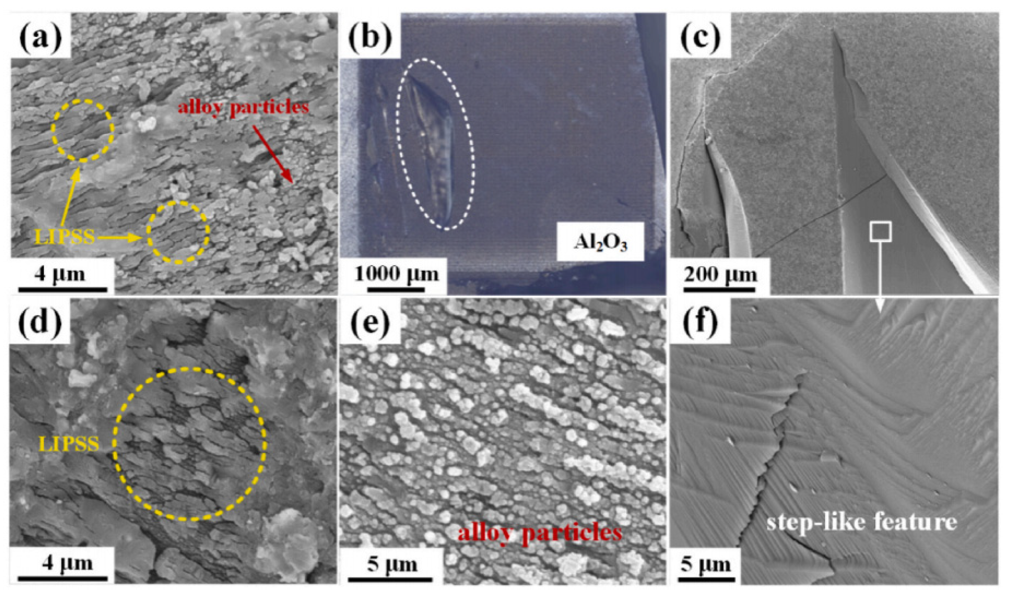 Materials 17 03386 g011