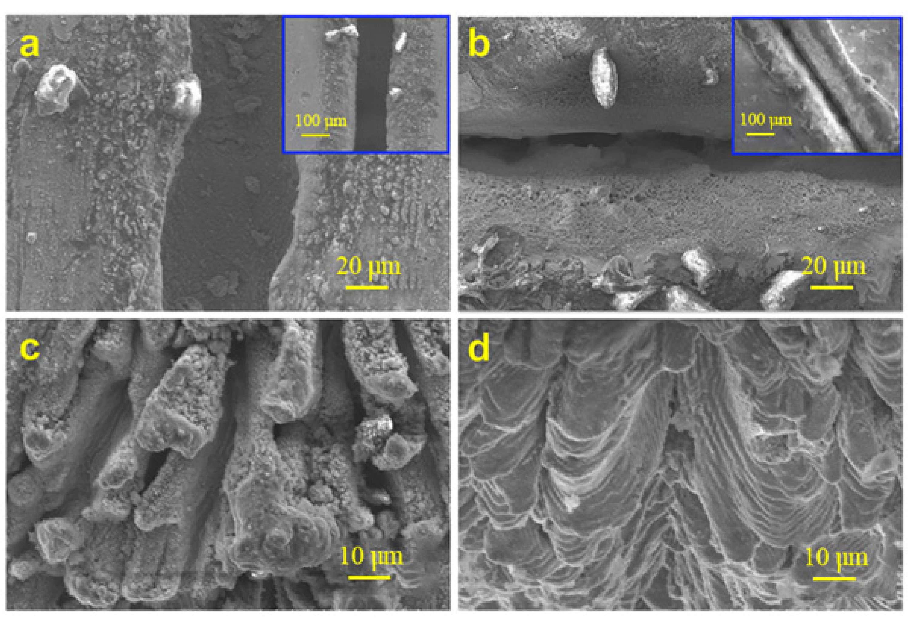 Materials 17 03386 g013