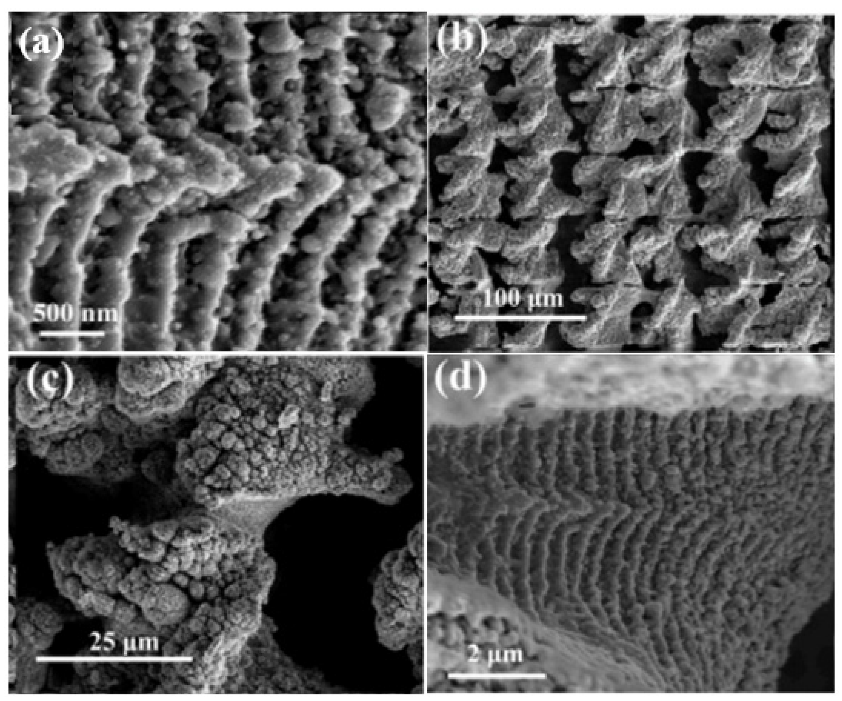 Materials 17 03386 g014