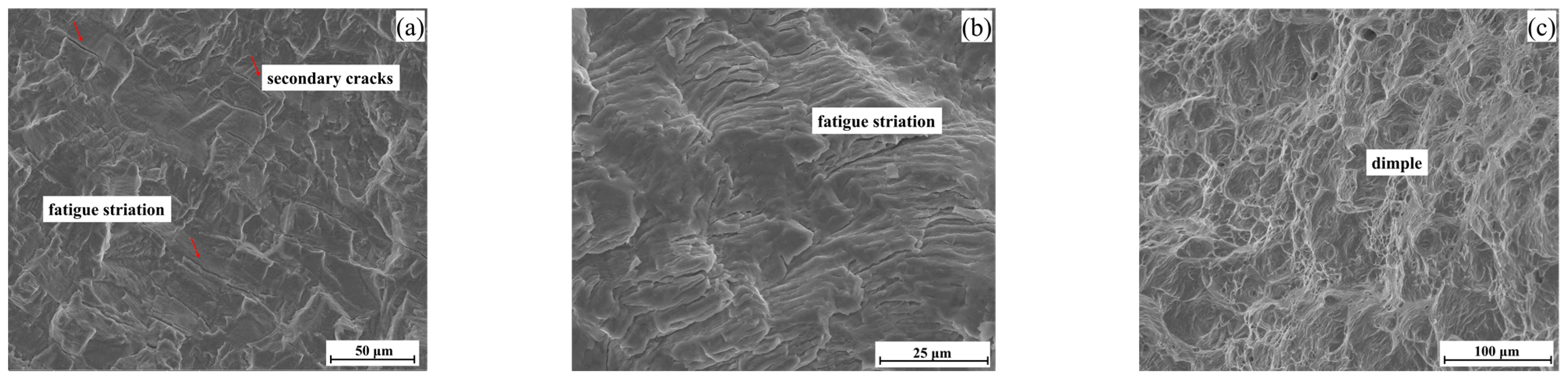 Materials 17 03390 g005