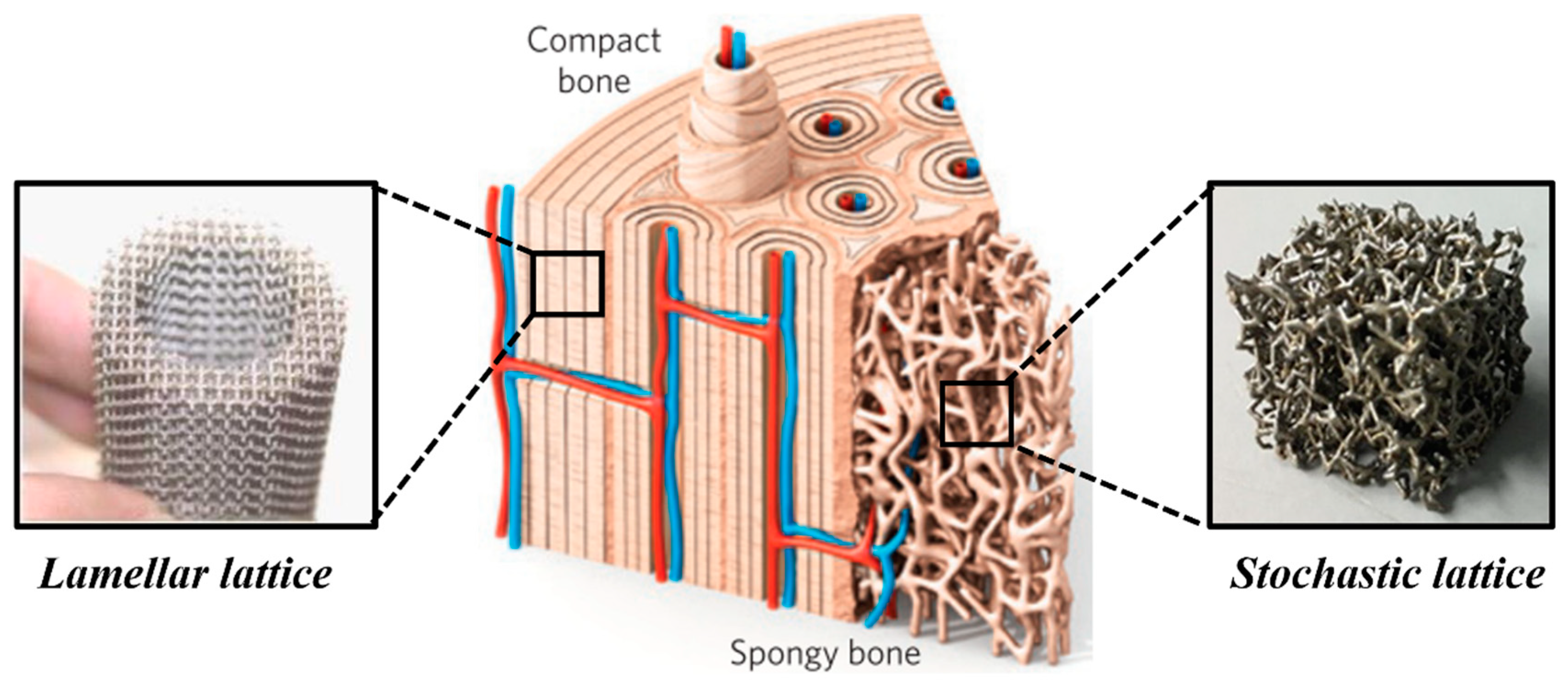 Materials 17 03398 g010