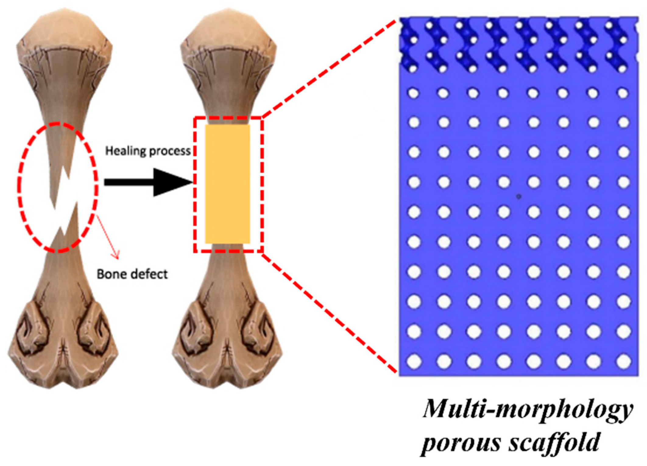 Materials 17 03398 g014