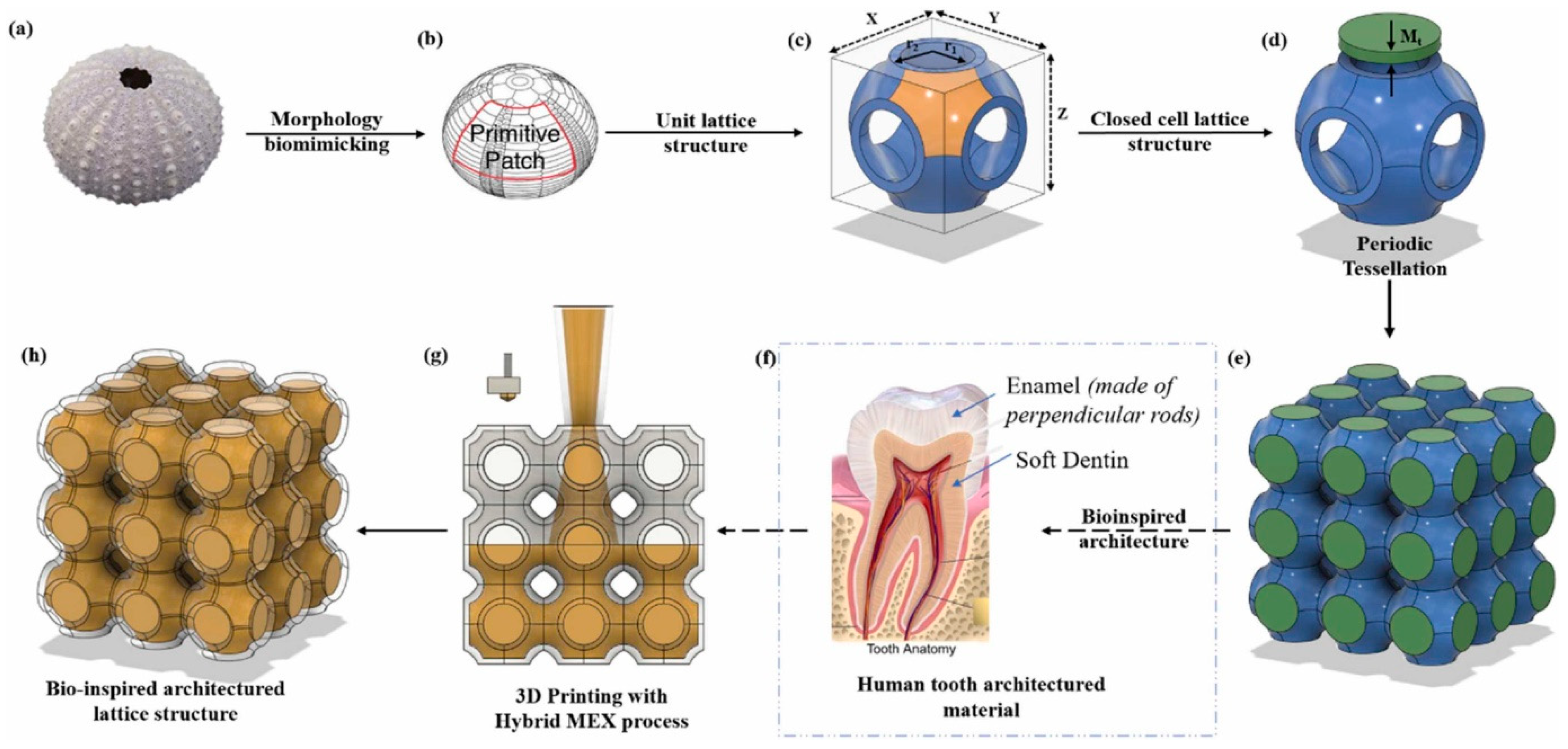 Materials 17 03398 g045