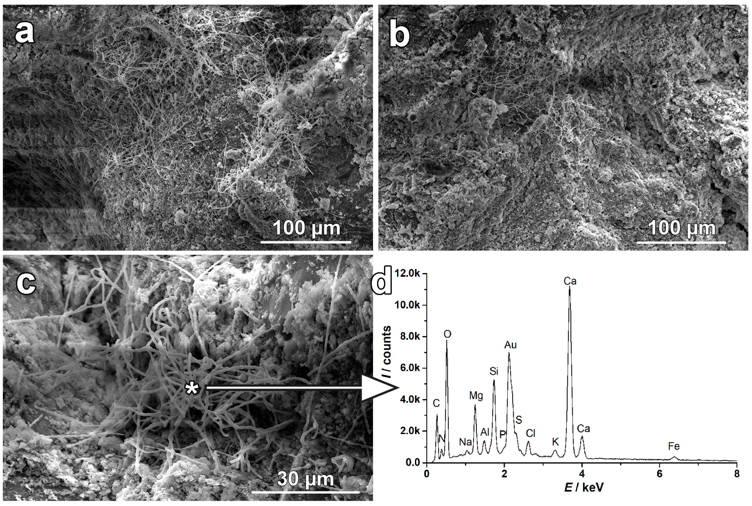 Materials 17 03419 g014