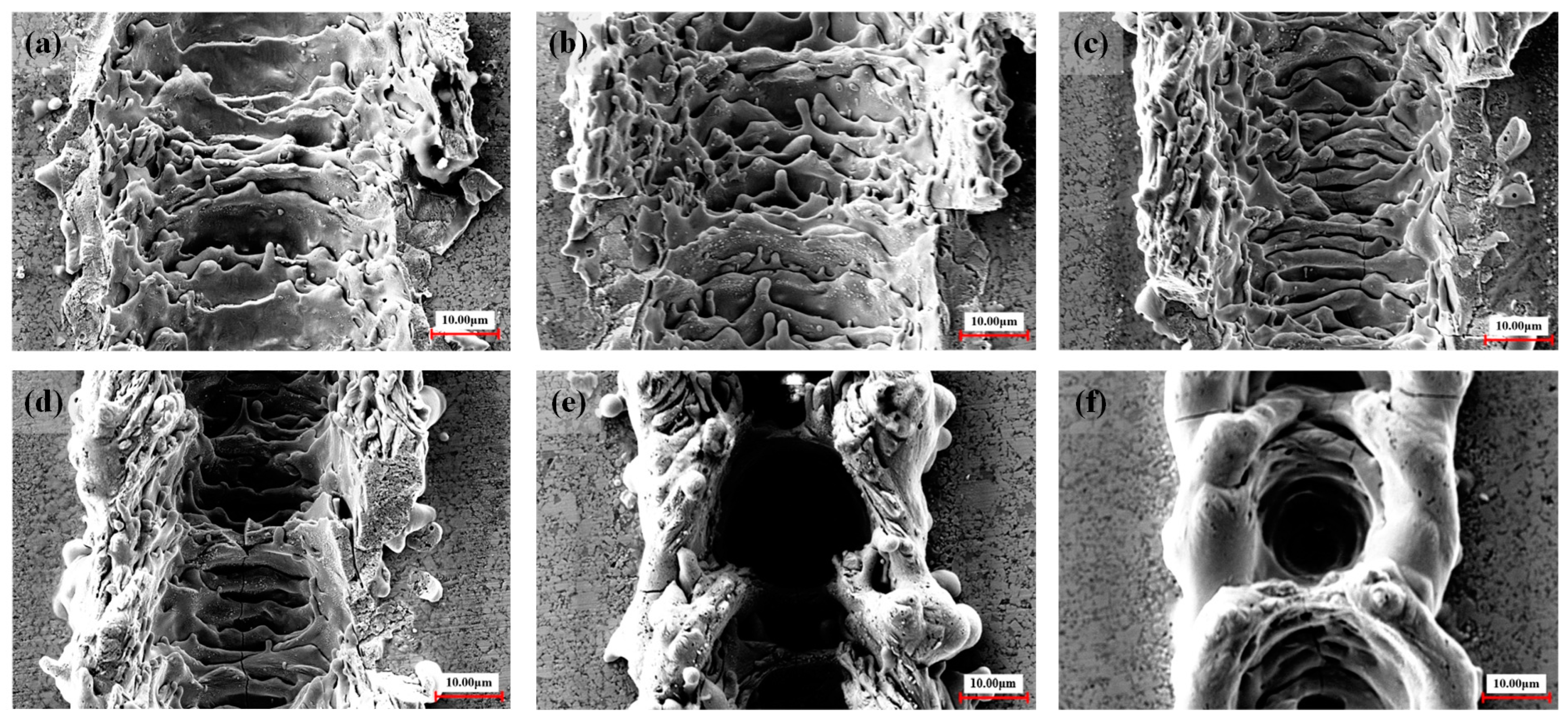 Materials 17 03423 g008