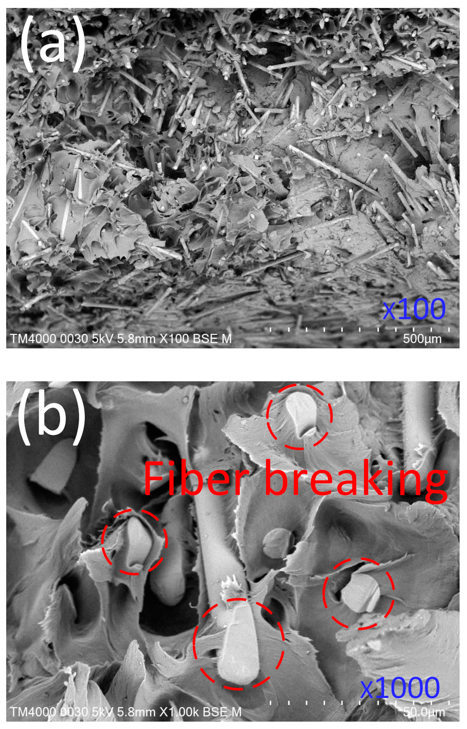 Materials 17 03428 g010