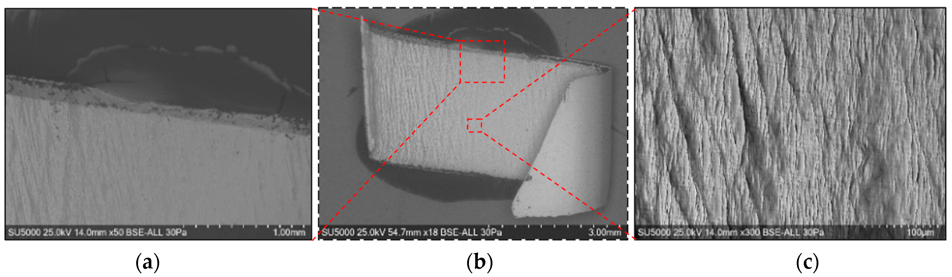 Materials 17 03434 g019