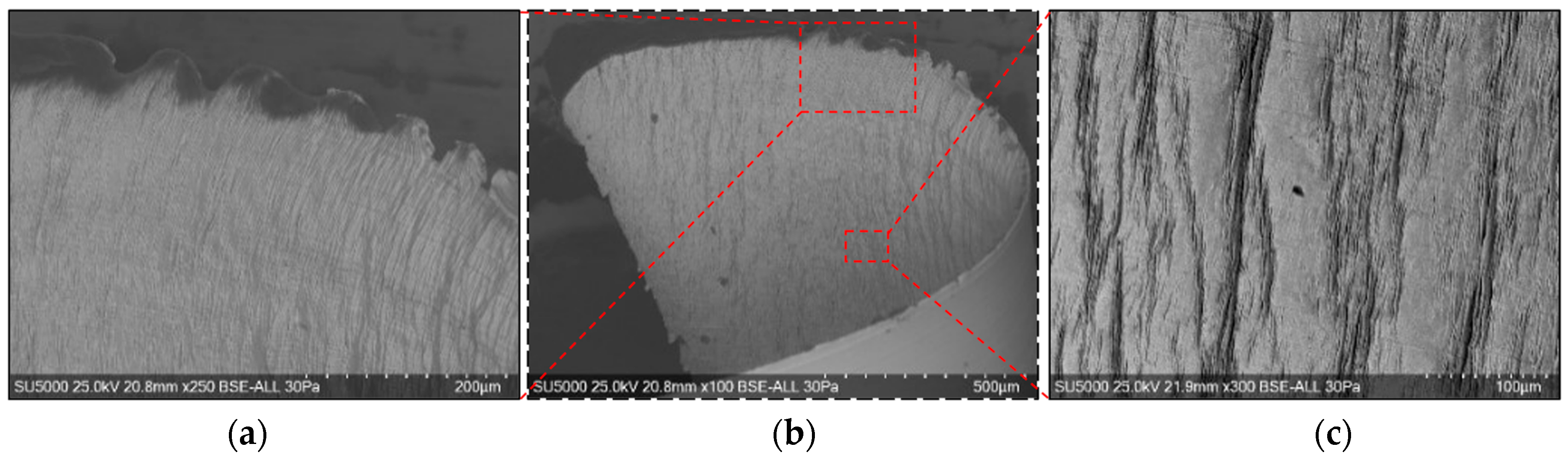 Materials 17 03434 g020