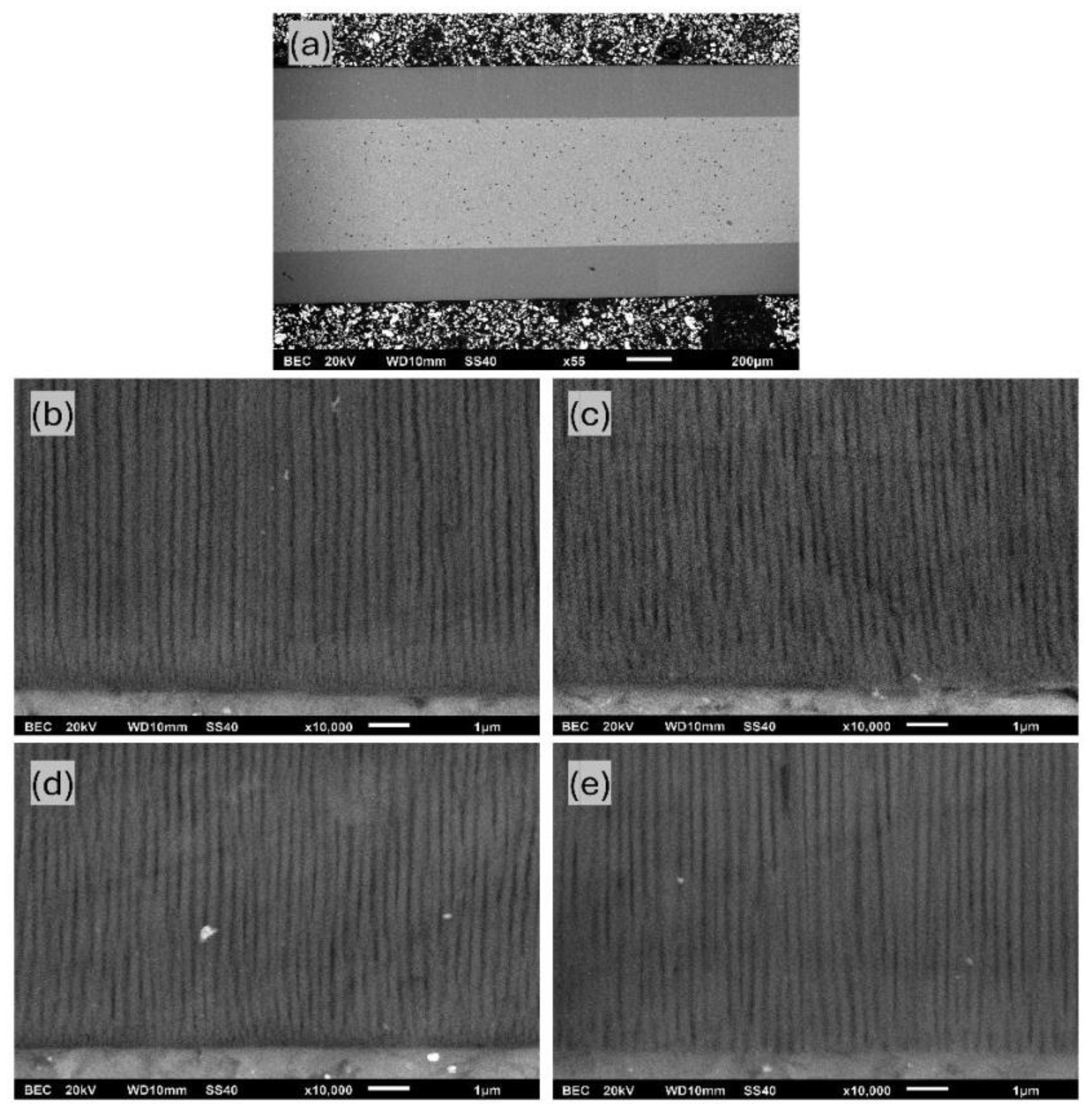 Materials 17 03438 g010