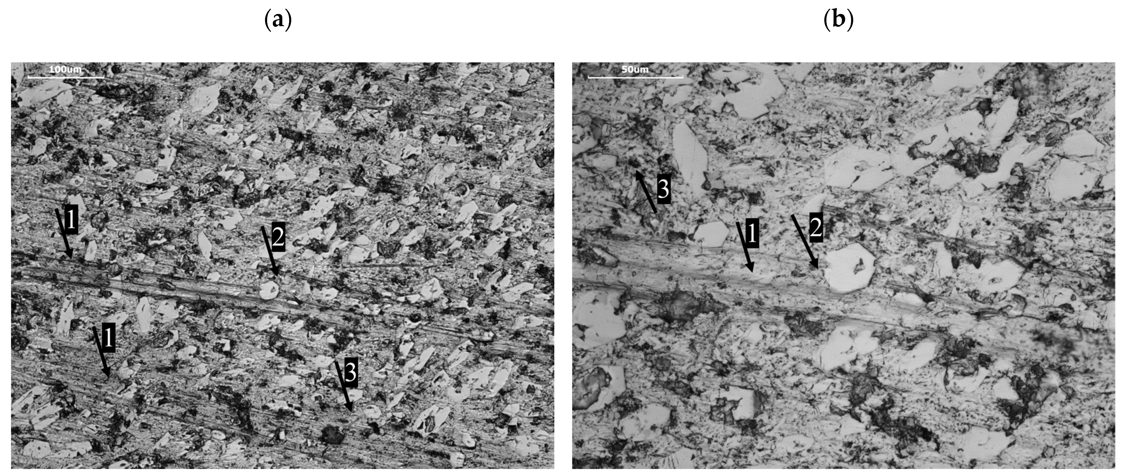 Materials 17 03461 g010