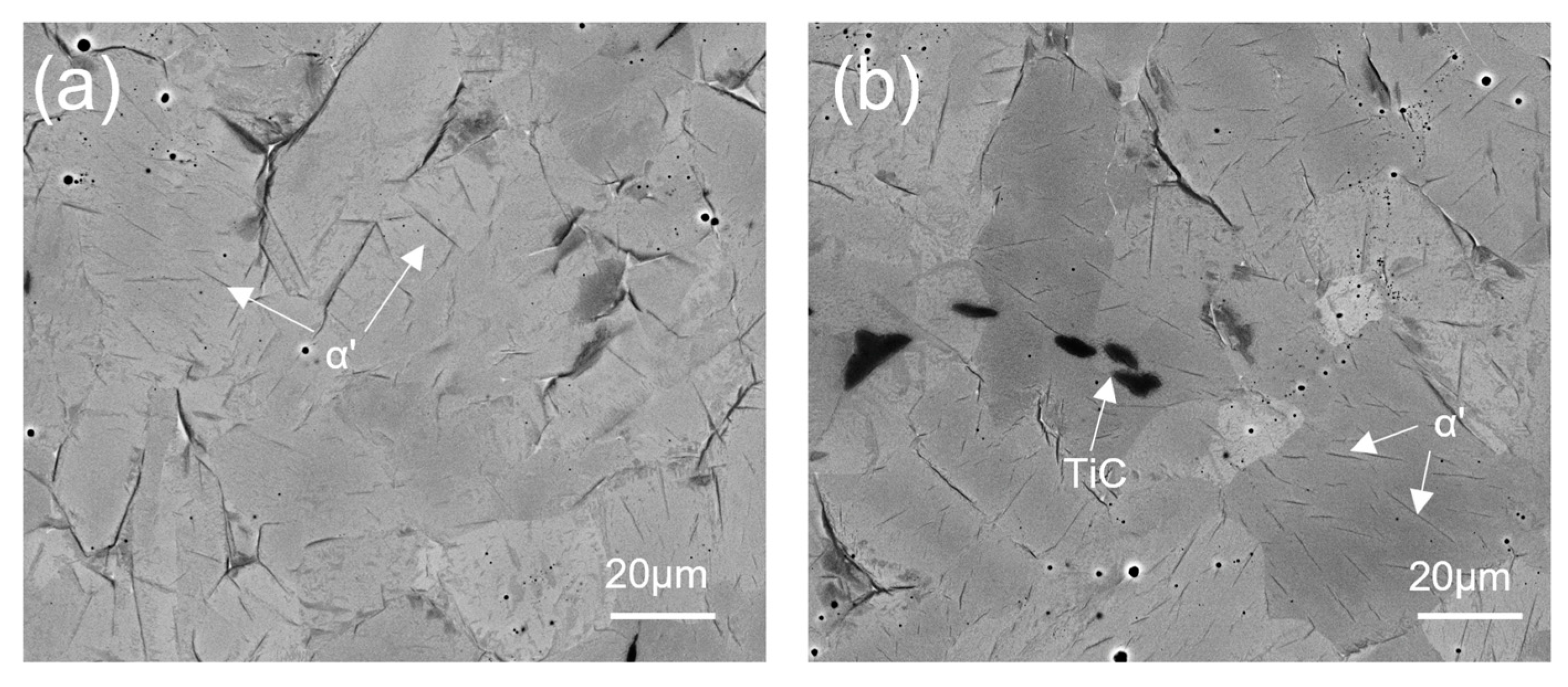 Materials 17 03469 g007