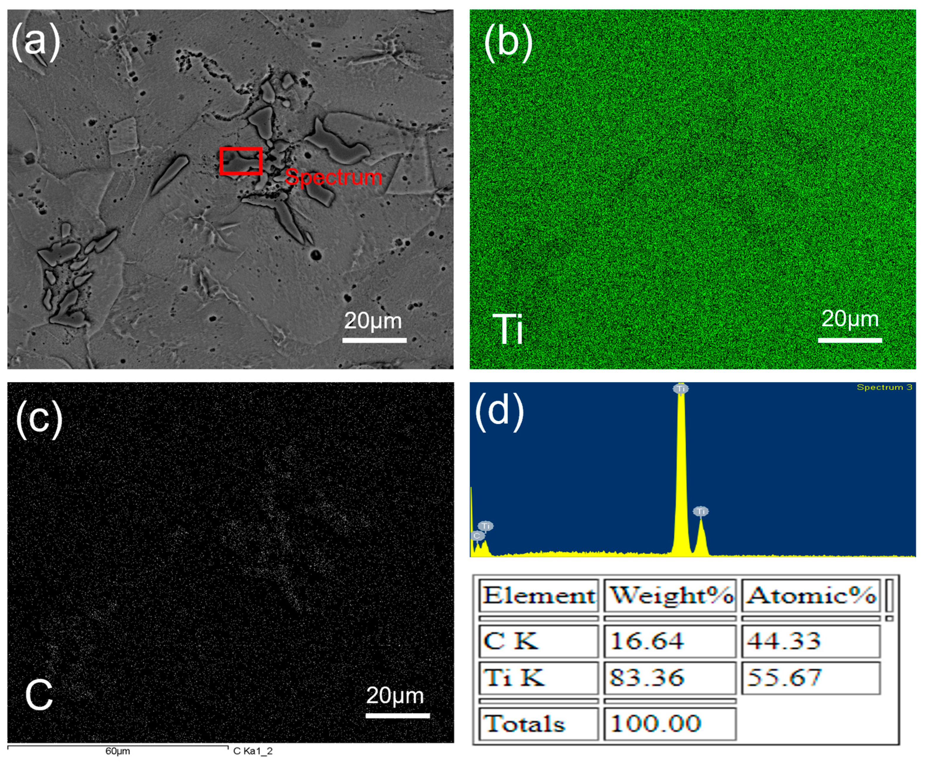 Materials 17 03469 g008