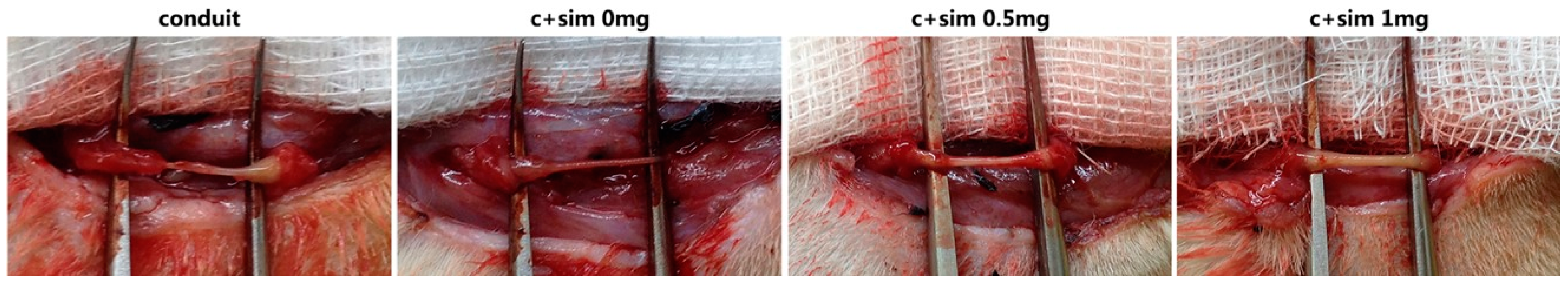 Materials 17 03472 g001 Materials 17 03472 g001