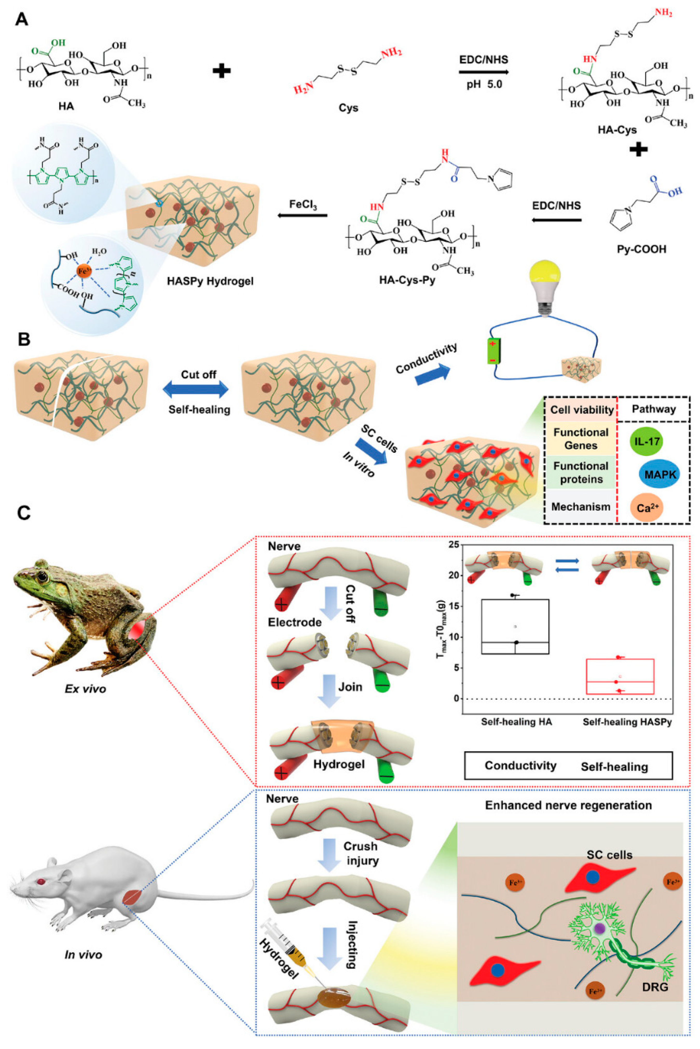 Materials 17 03472 g004 Materials 17 03472 g004