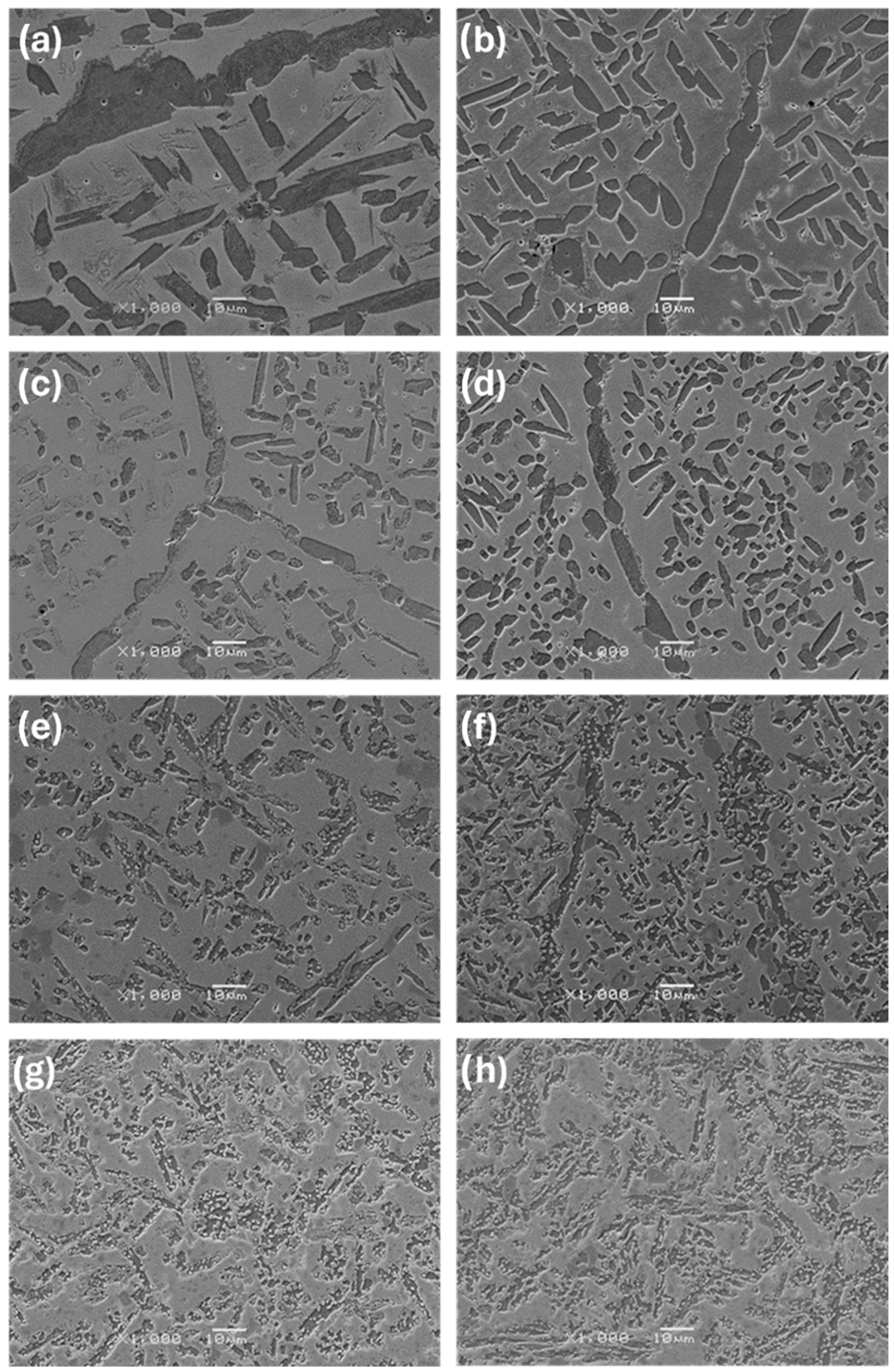 Materials 17 03483 g005