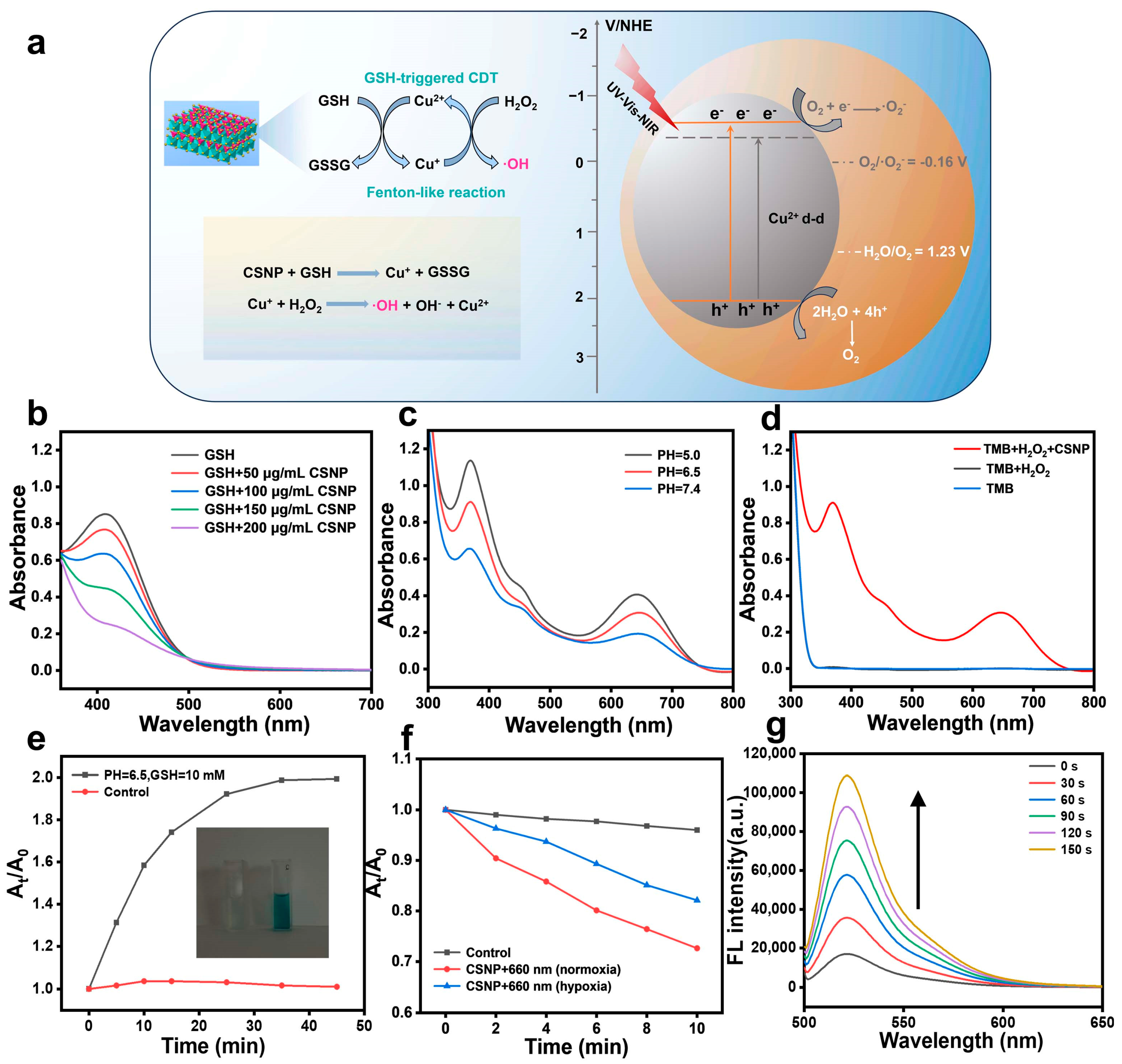 Materials 17 03495 g003