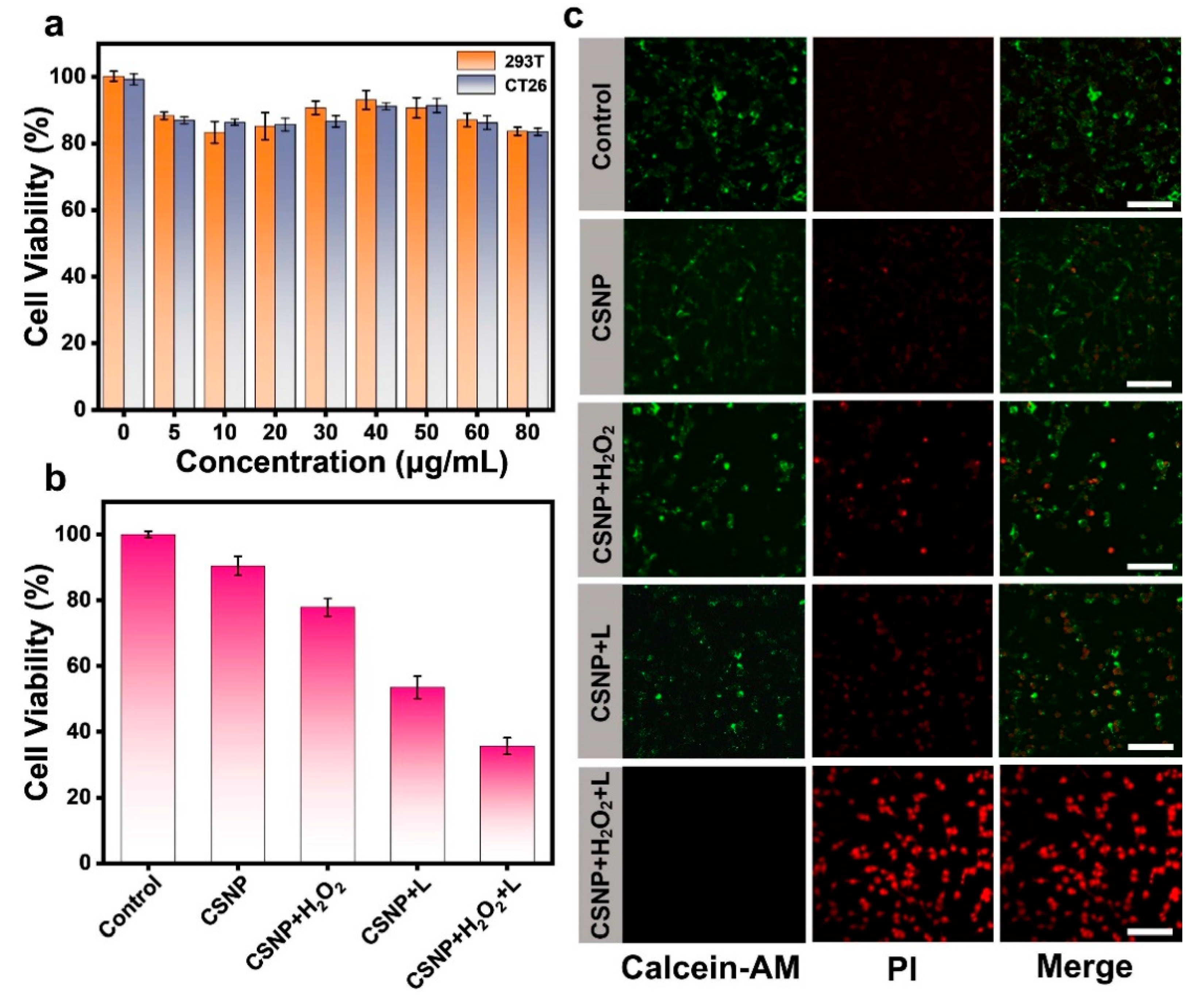 Materials 17 03495 g004