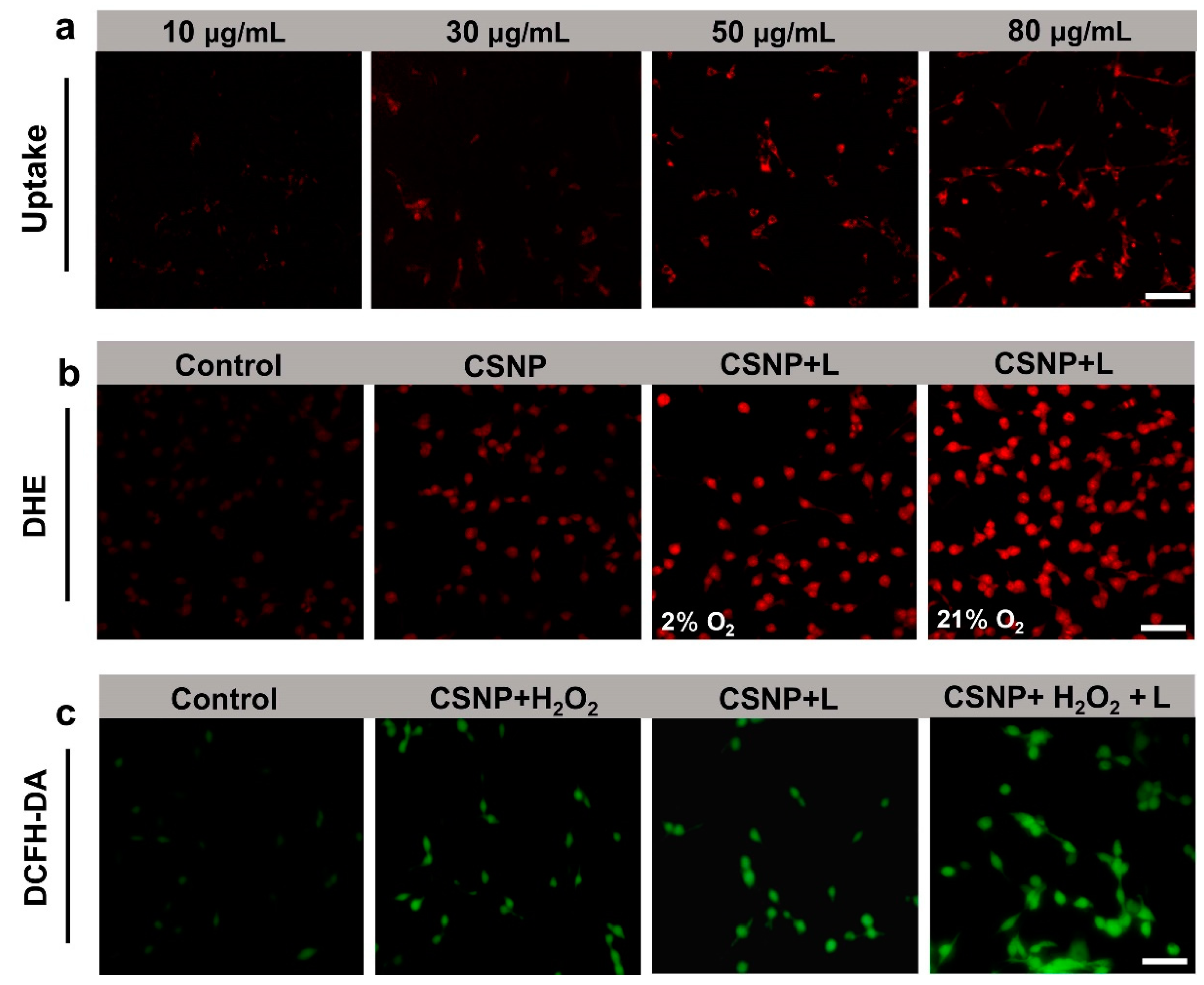 Materials 17 03495 g005