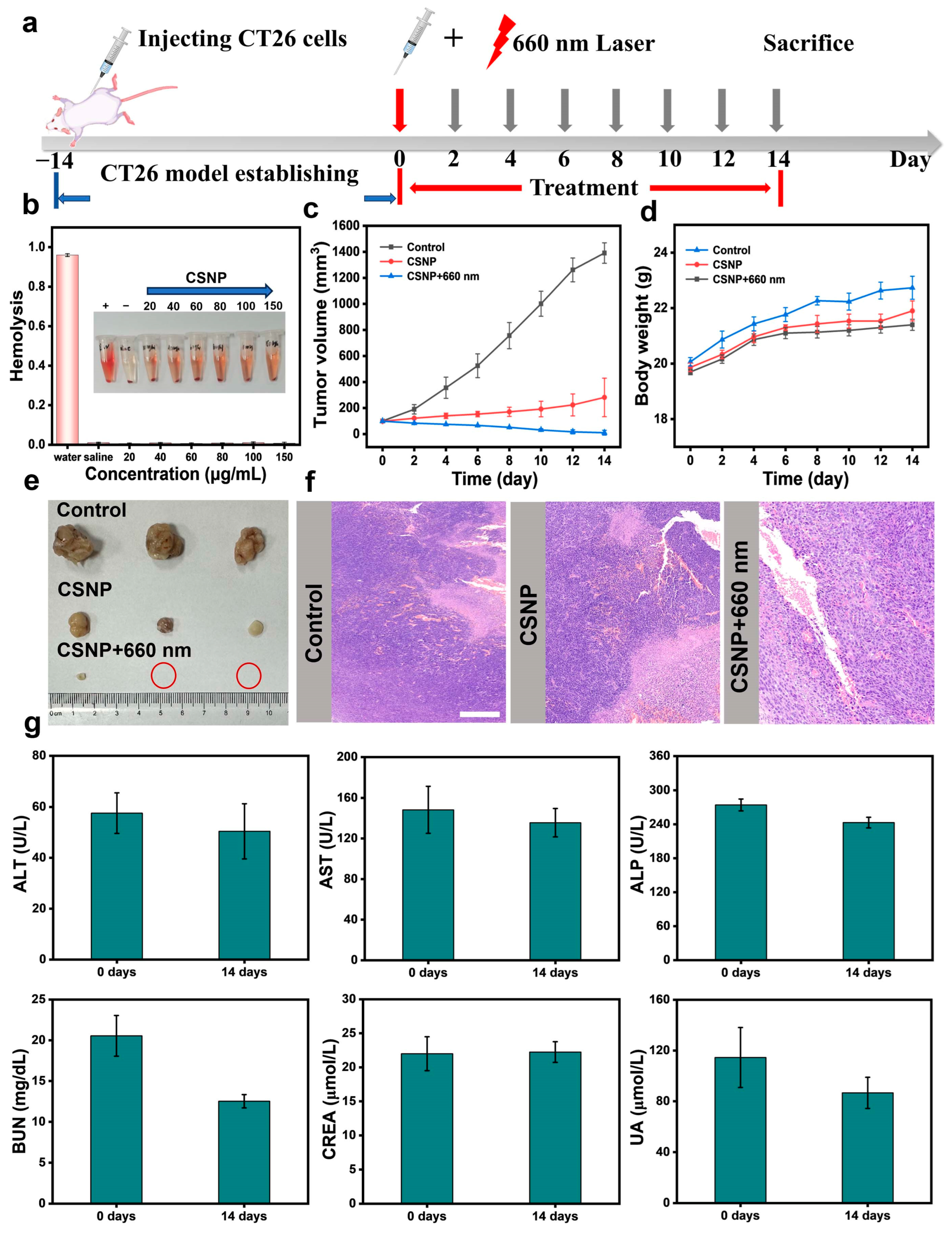 Materials 17 03495 g006
