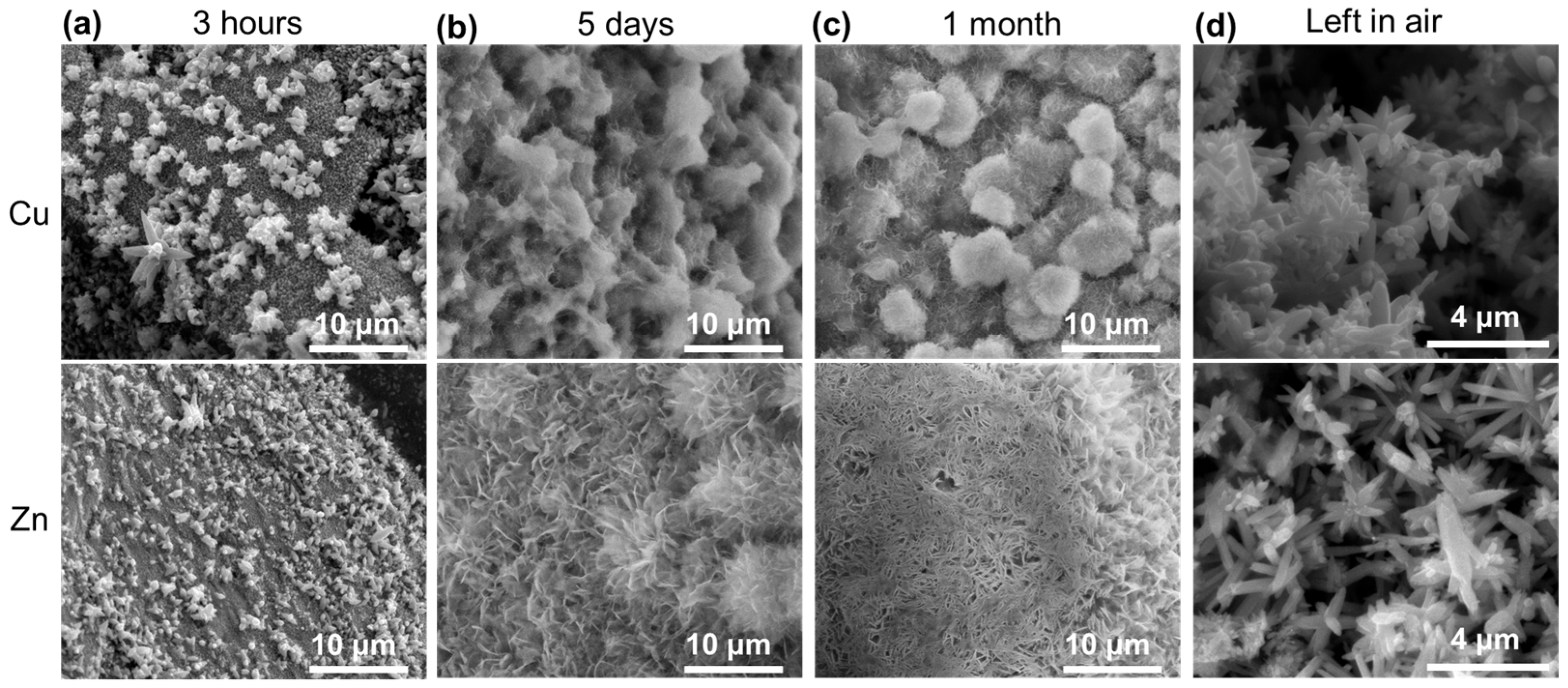 Materials 17 03502 g010