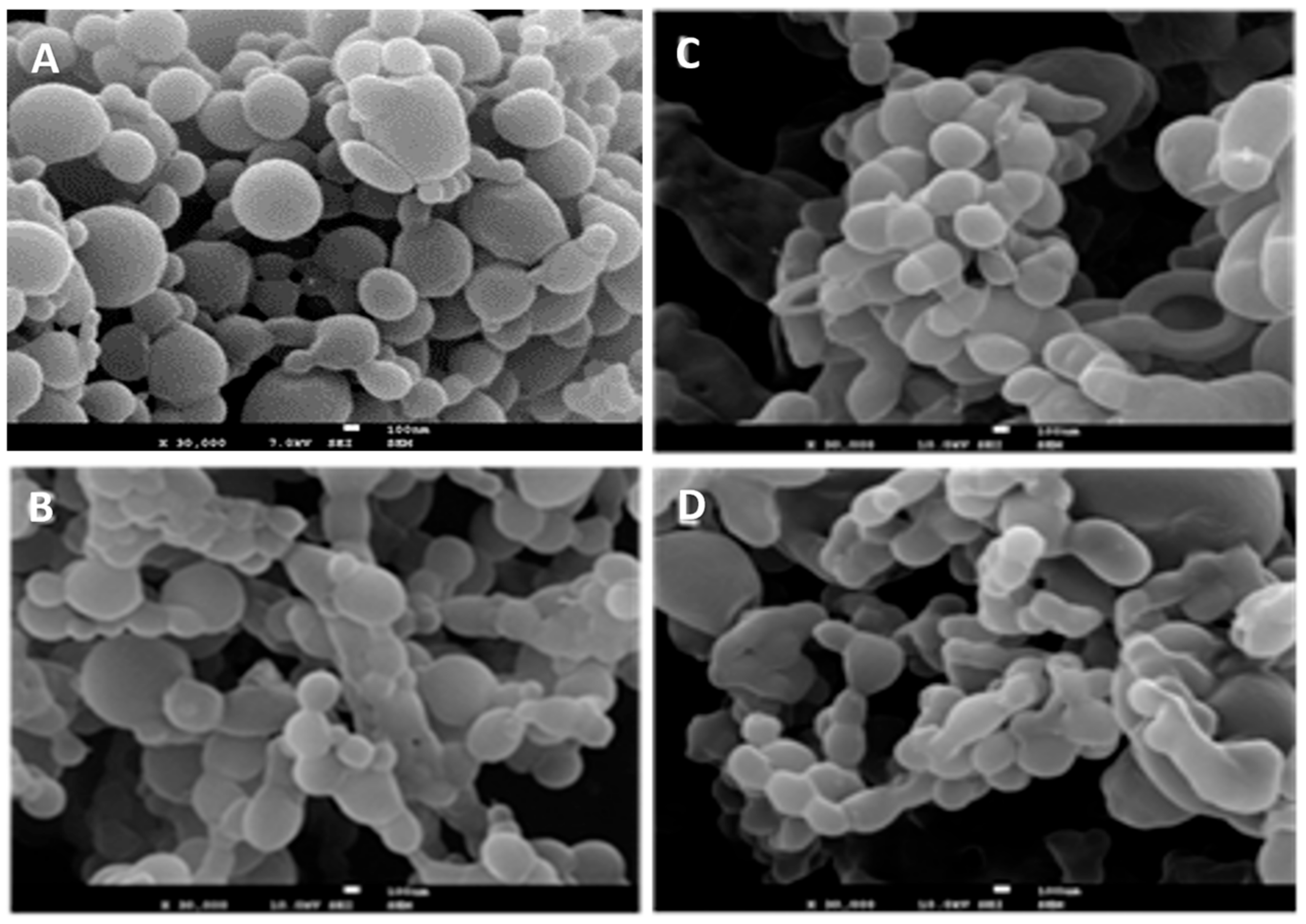 Materials 17 03544 g001