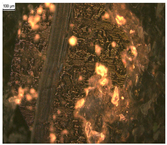 Materials 17 03555 i001